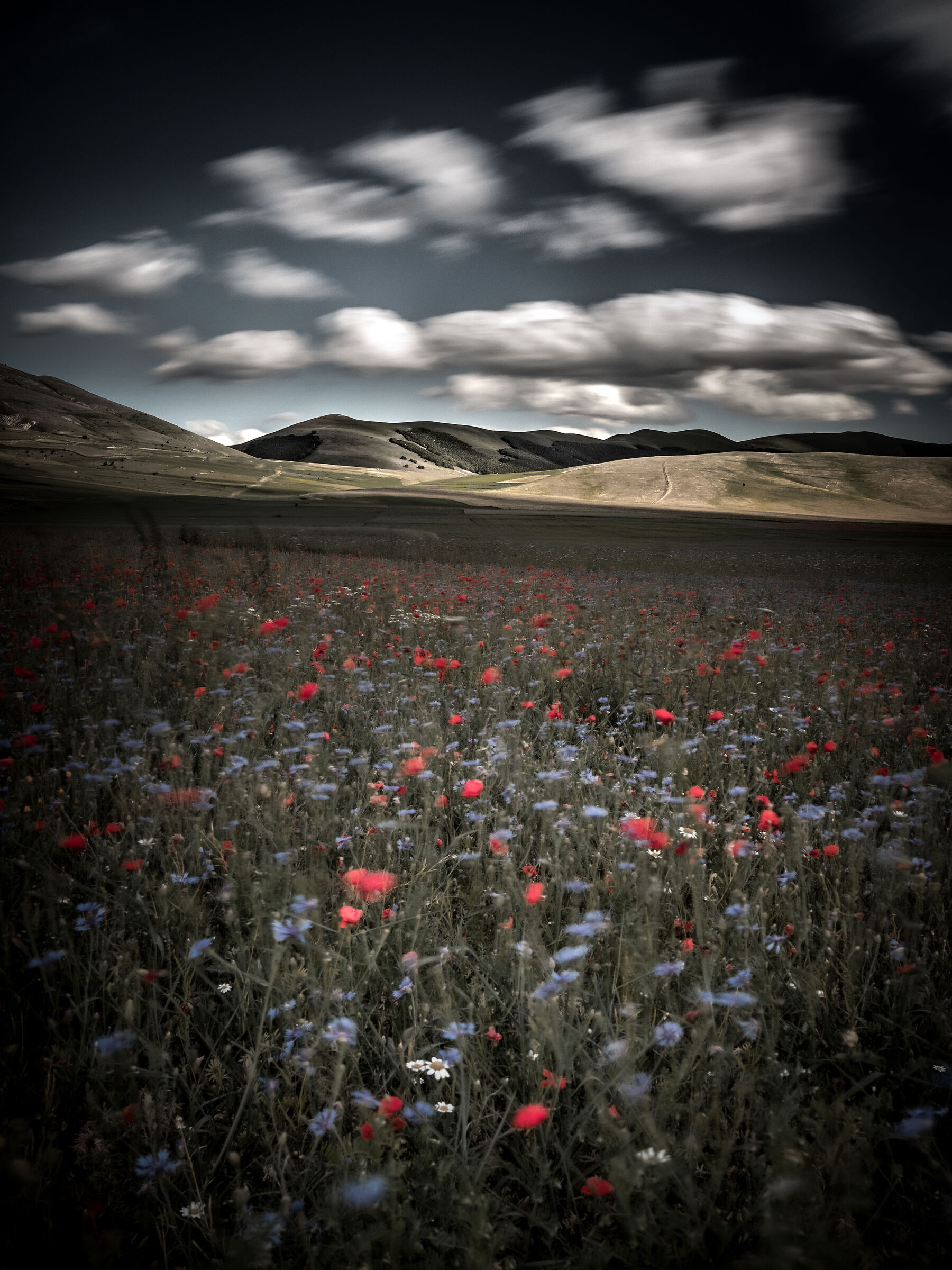 Castelluccio V