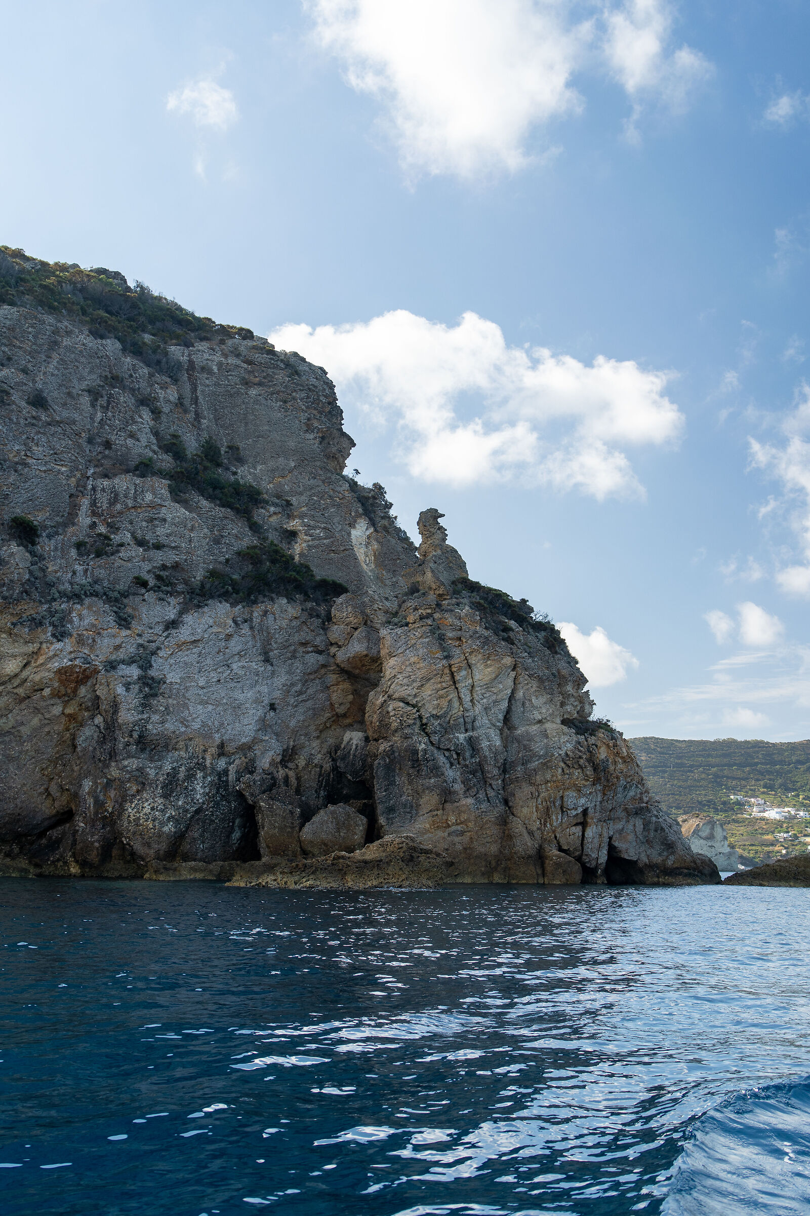 Ponza - il cavalluccio marino