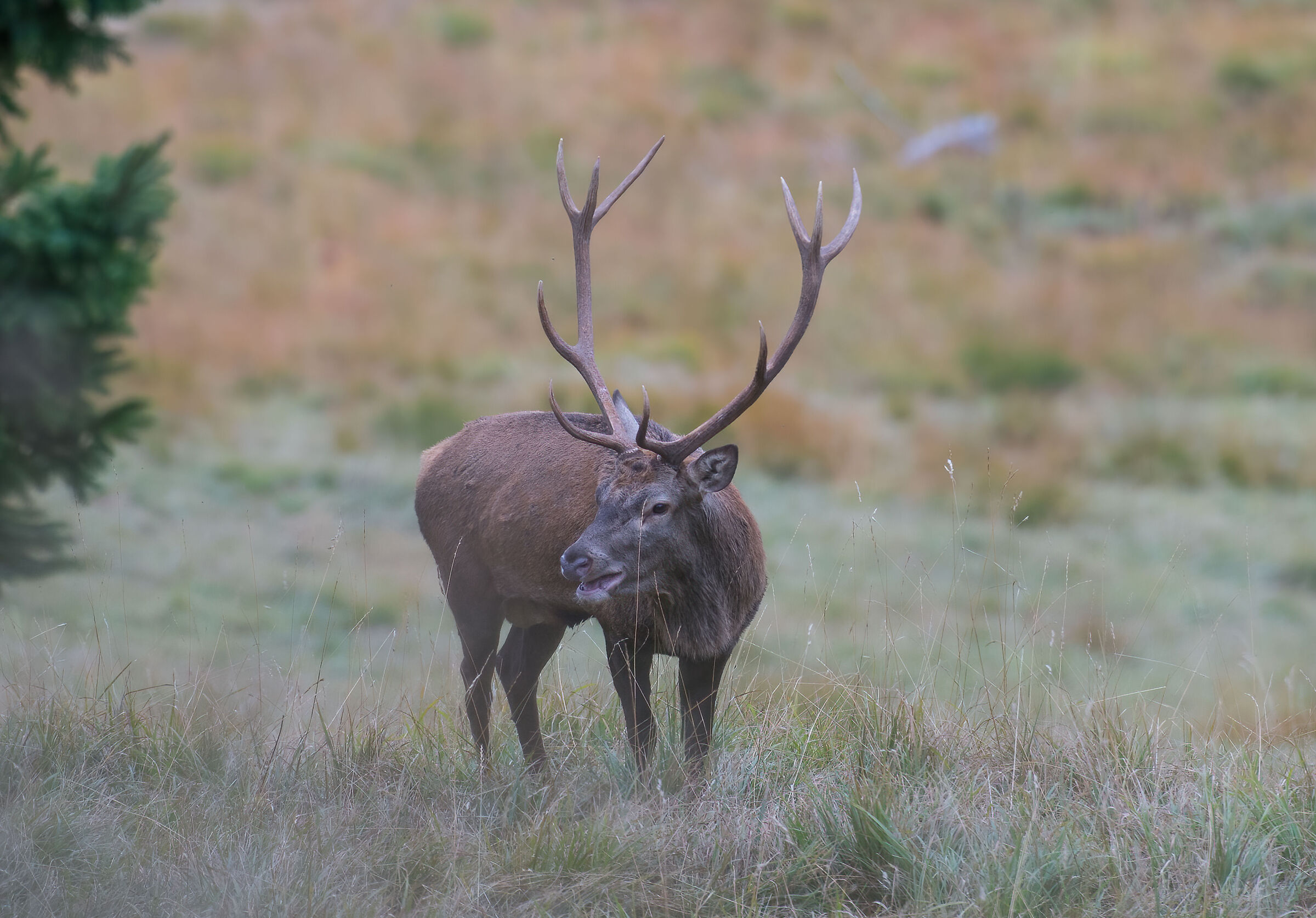 La stanchezza si fa sentire