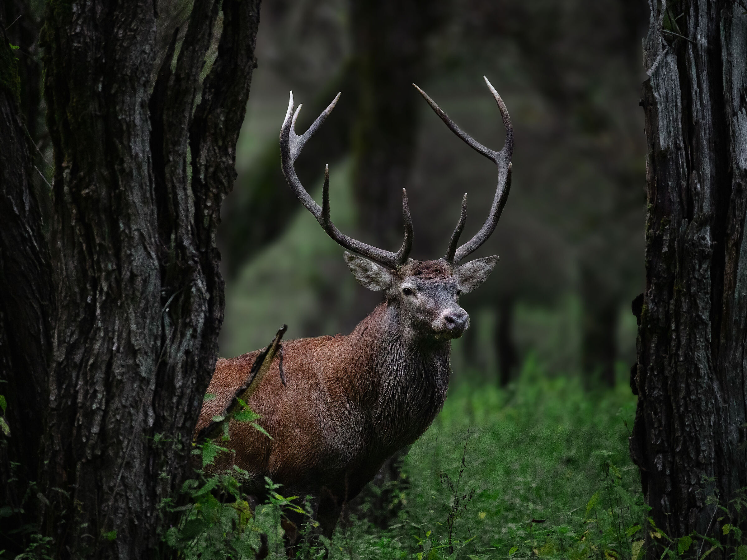 Tipici scorci abruzzesi.
