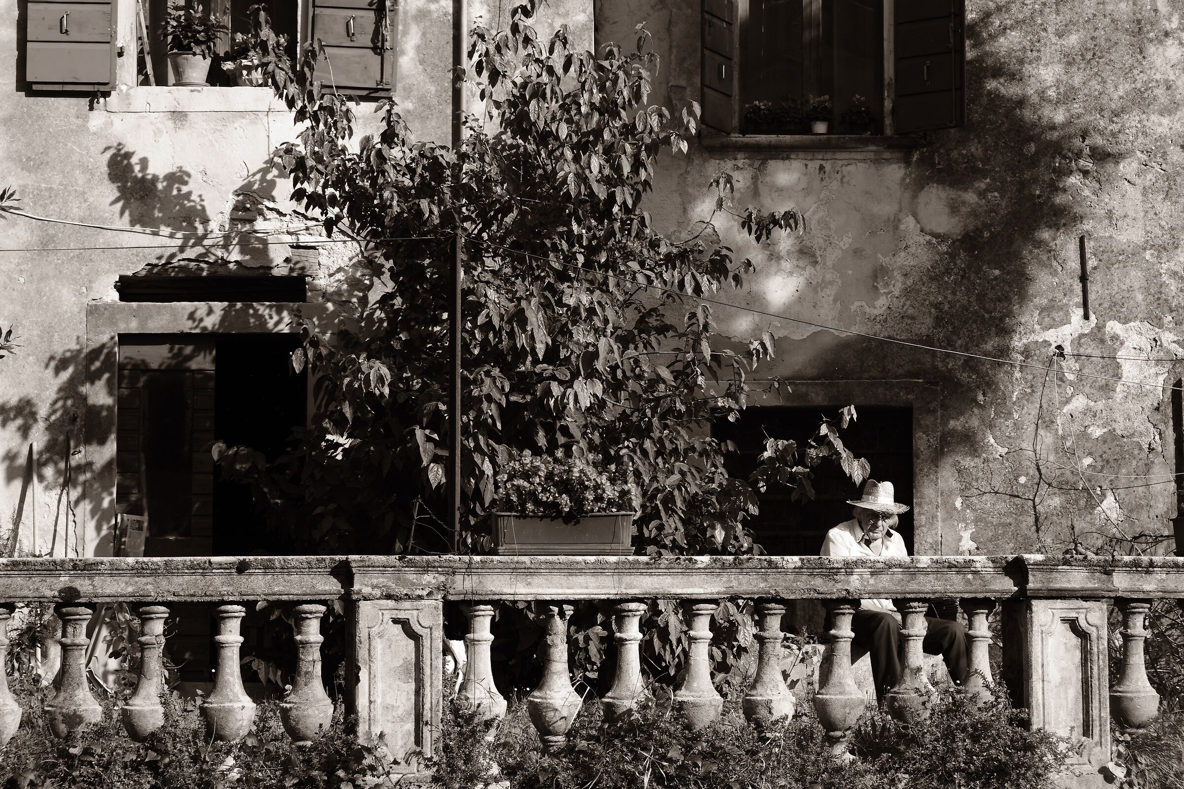 Private garden