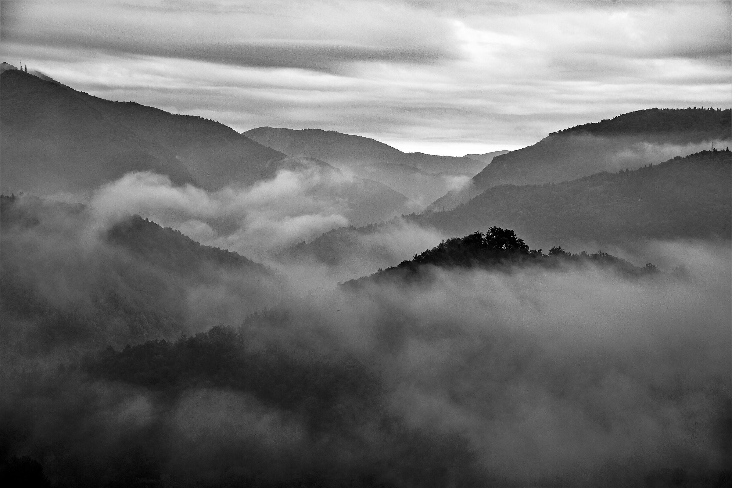 La nebbia agli irti colli