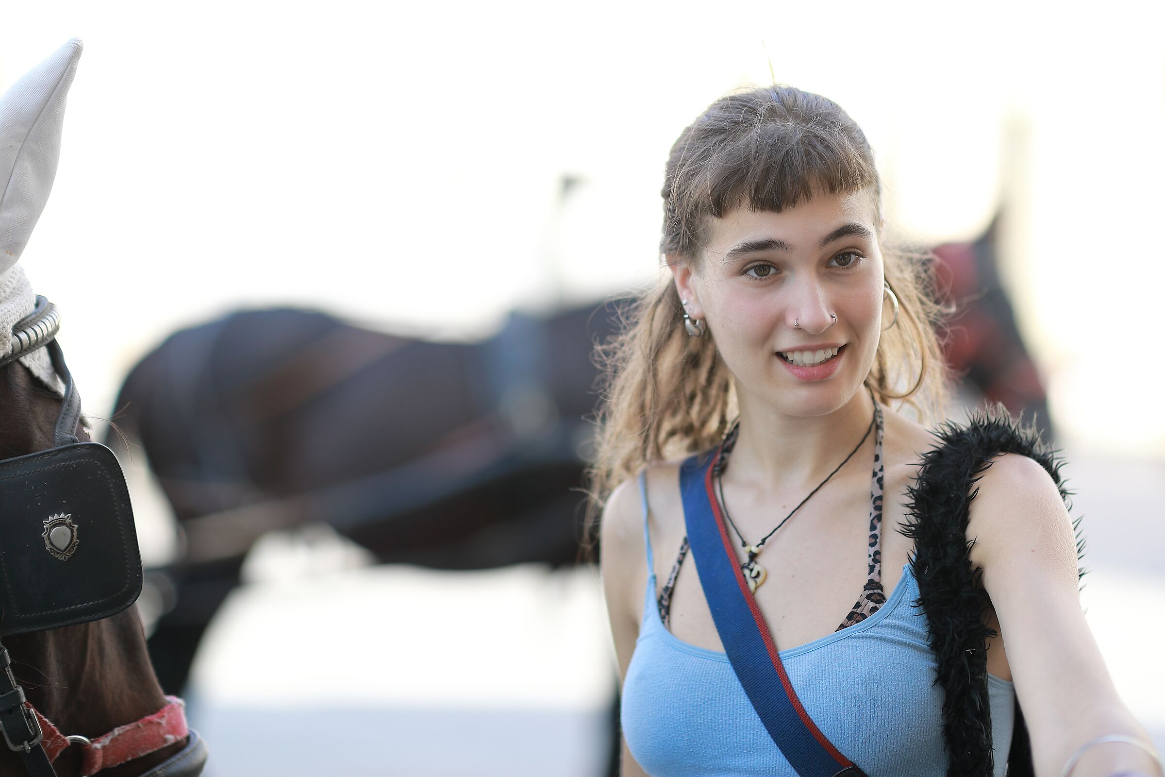 the girl who whispered to the horses