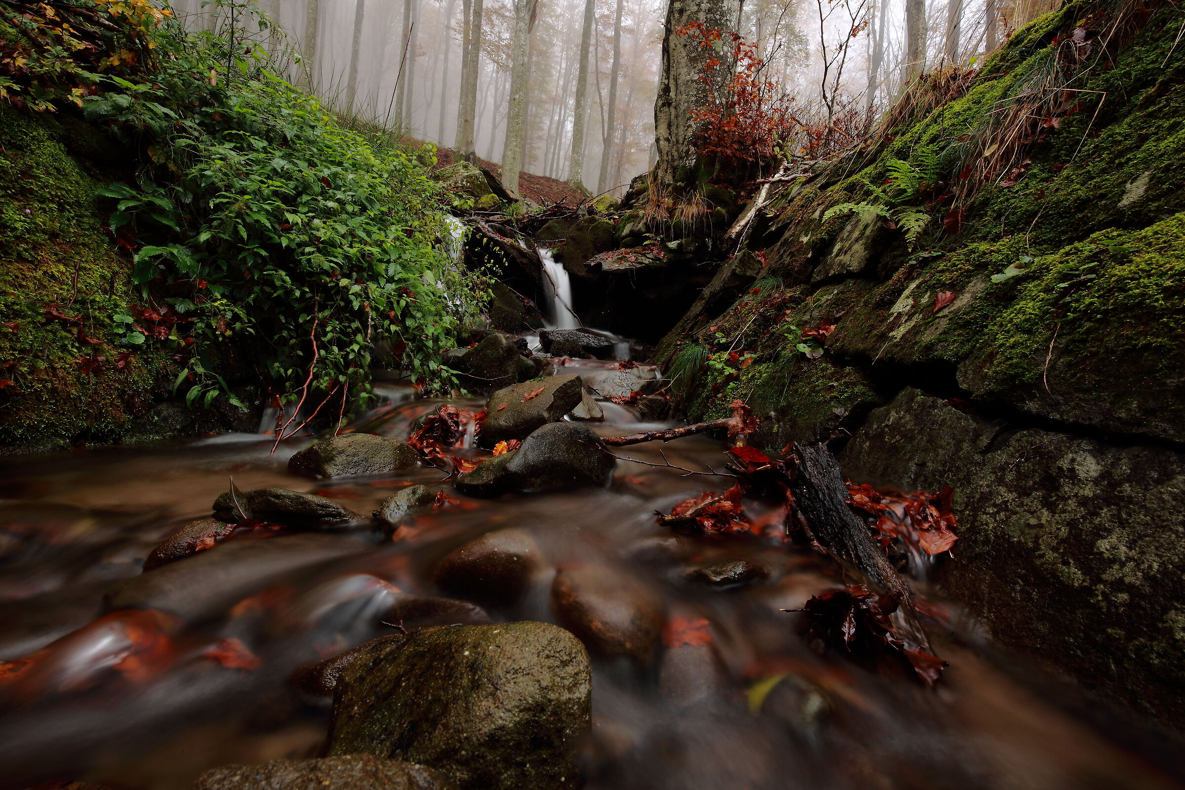 Autumn, in its slow flow ...