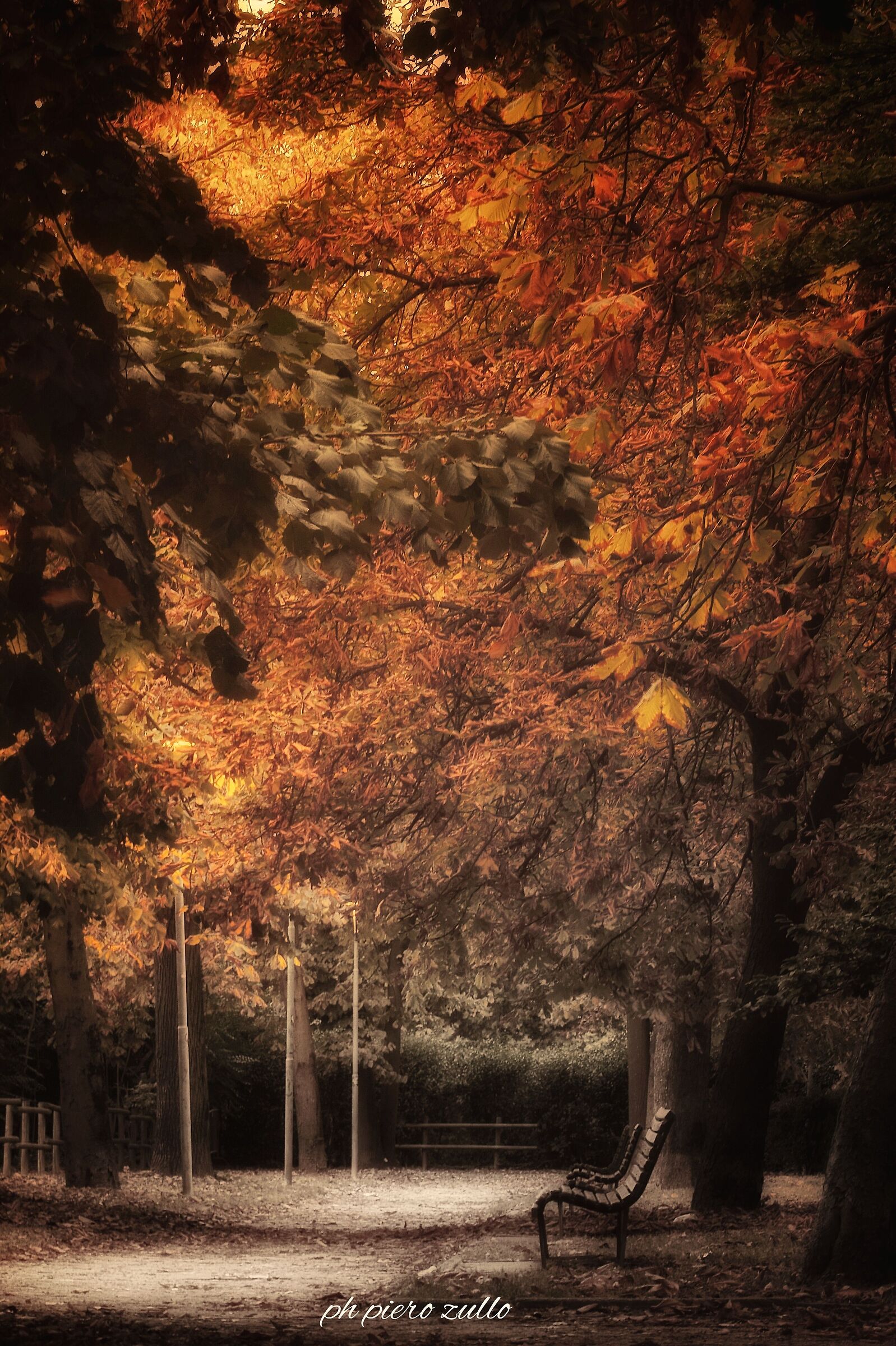 A ray of autumn sunshine