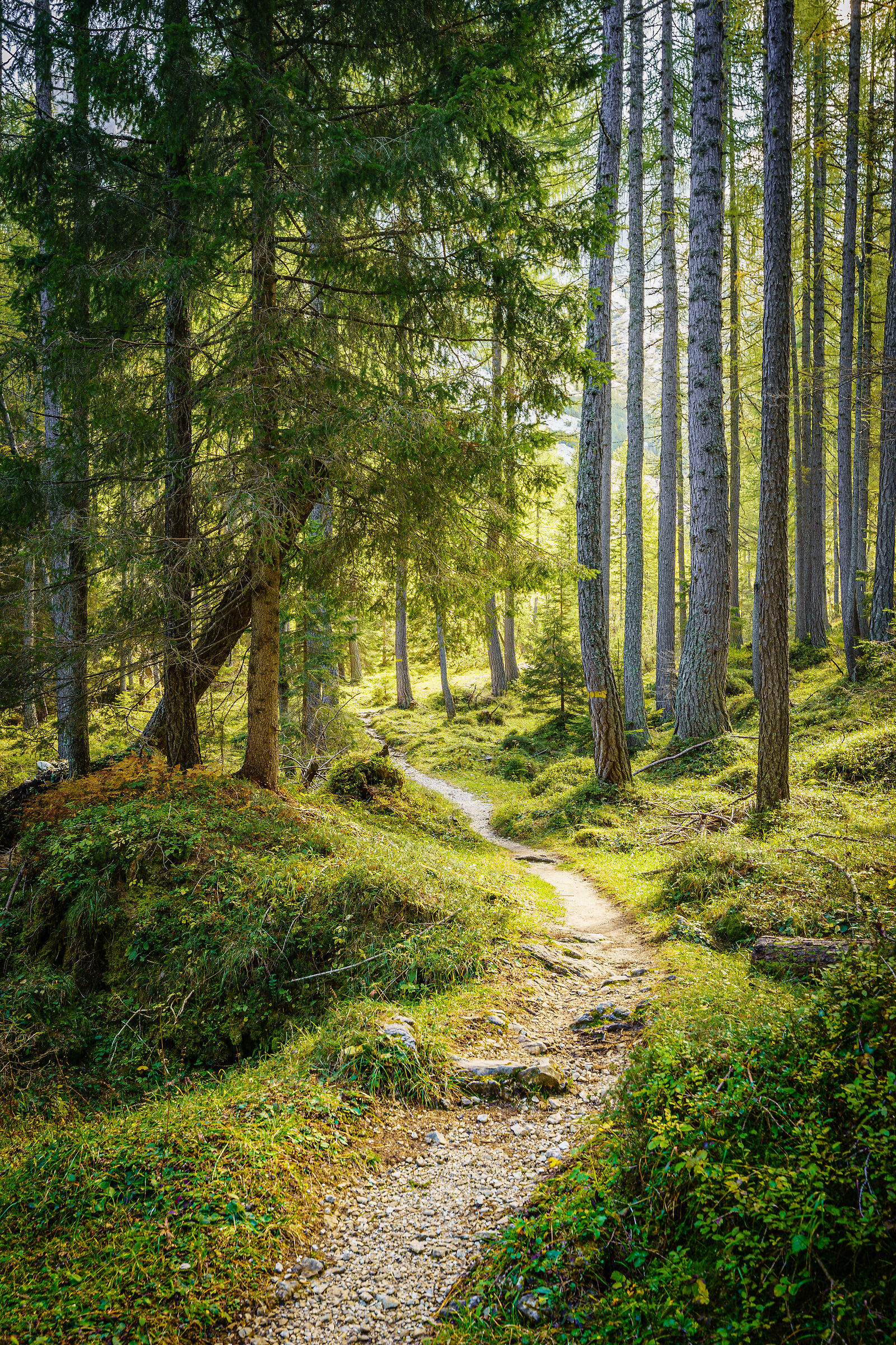 Tra i sentieri della Val di Zoldo