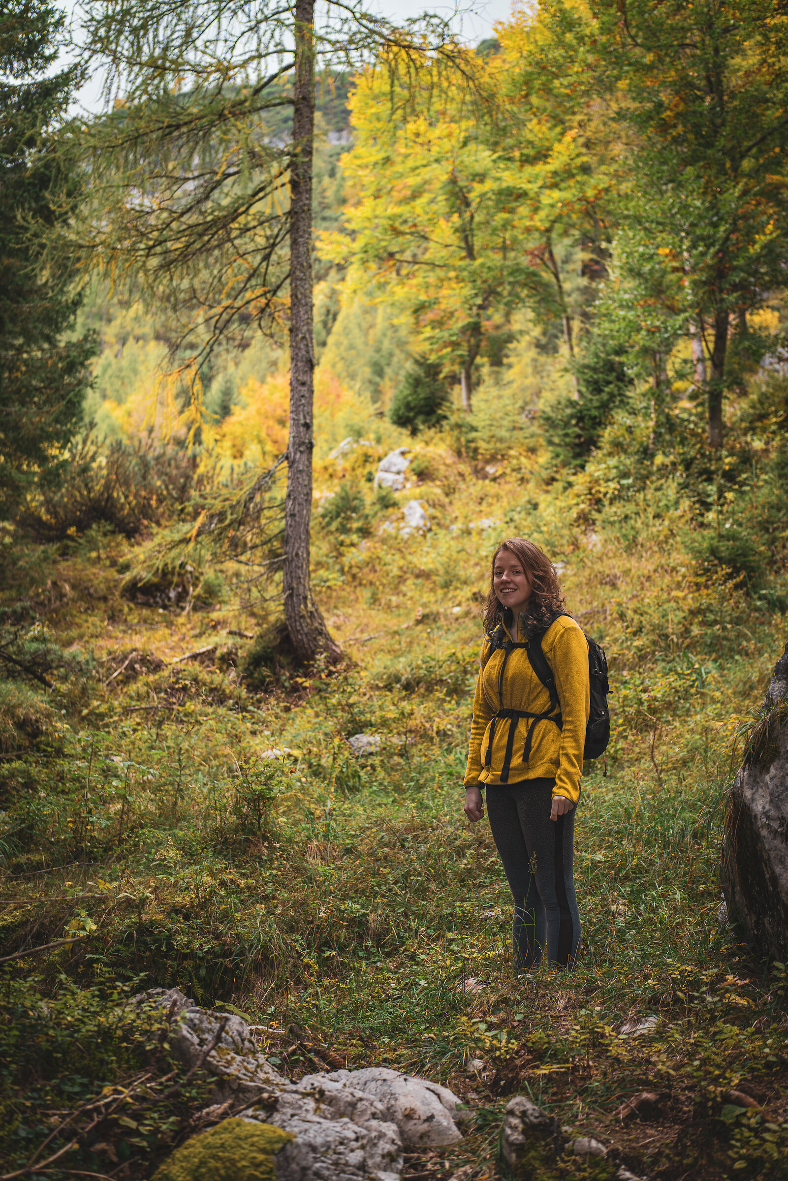 Searching for autumn colors