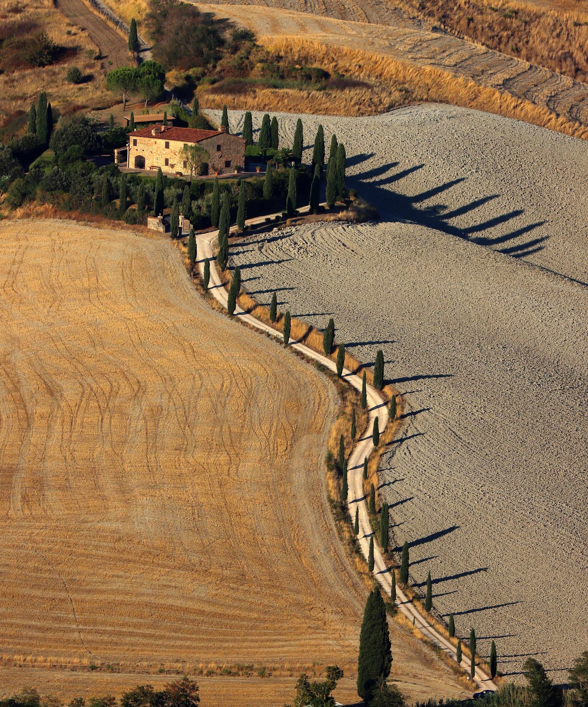 Cartolina dal volterrano
