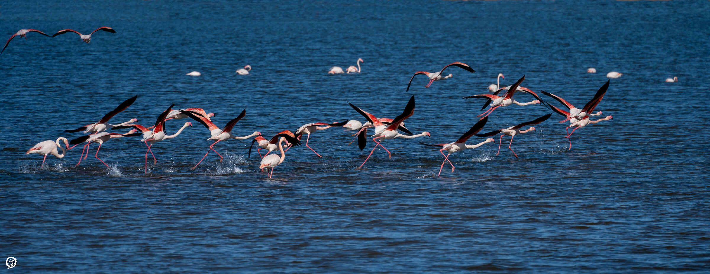Partenza sincronizzata