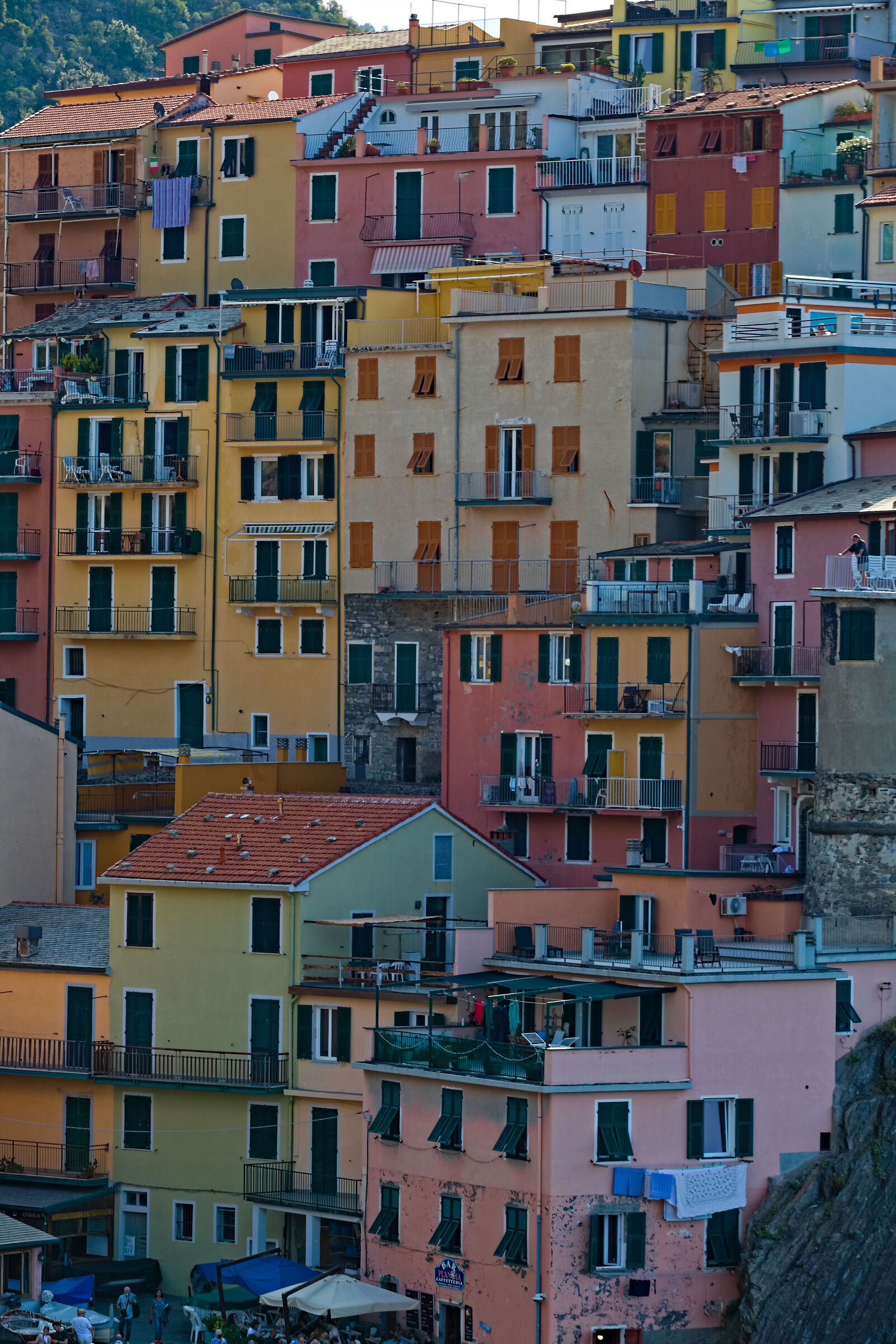 Manarola's Colors