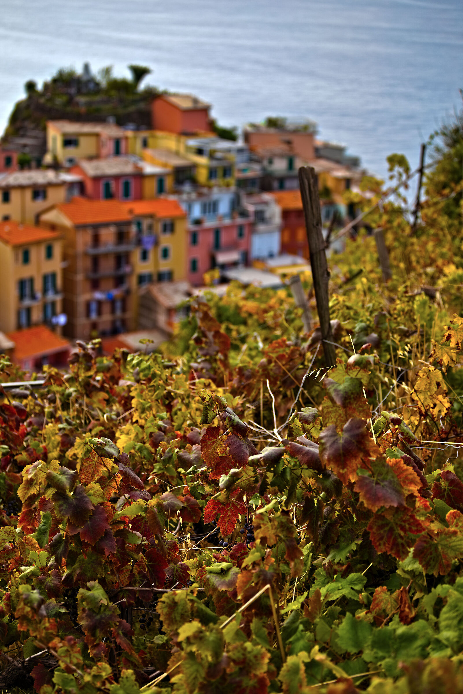 Autumn at Manarola