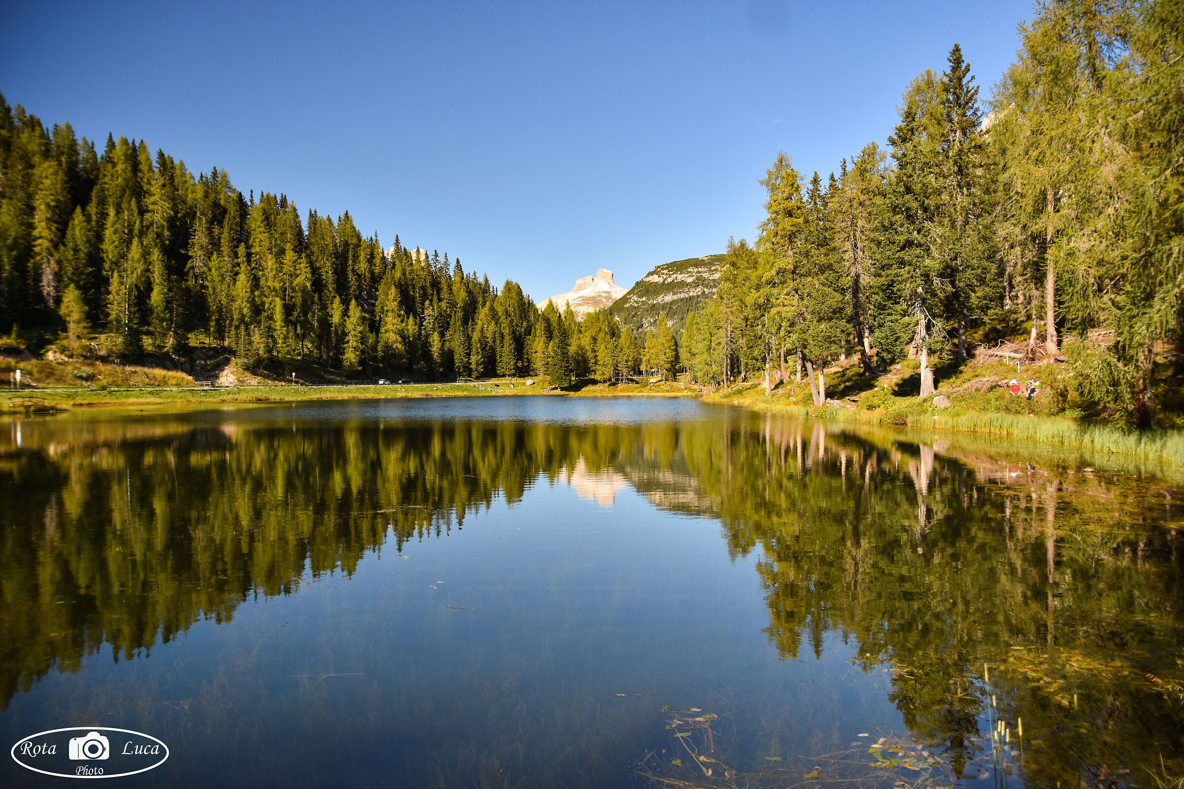 Veneto provincia di Belluno.