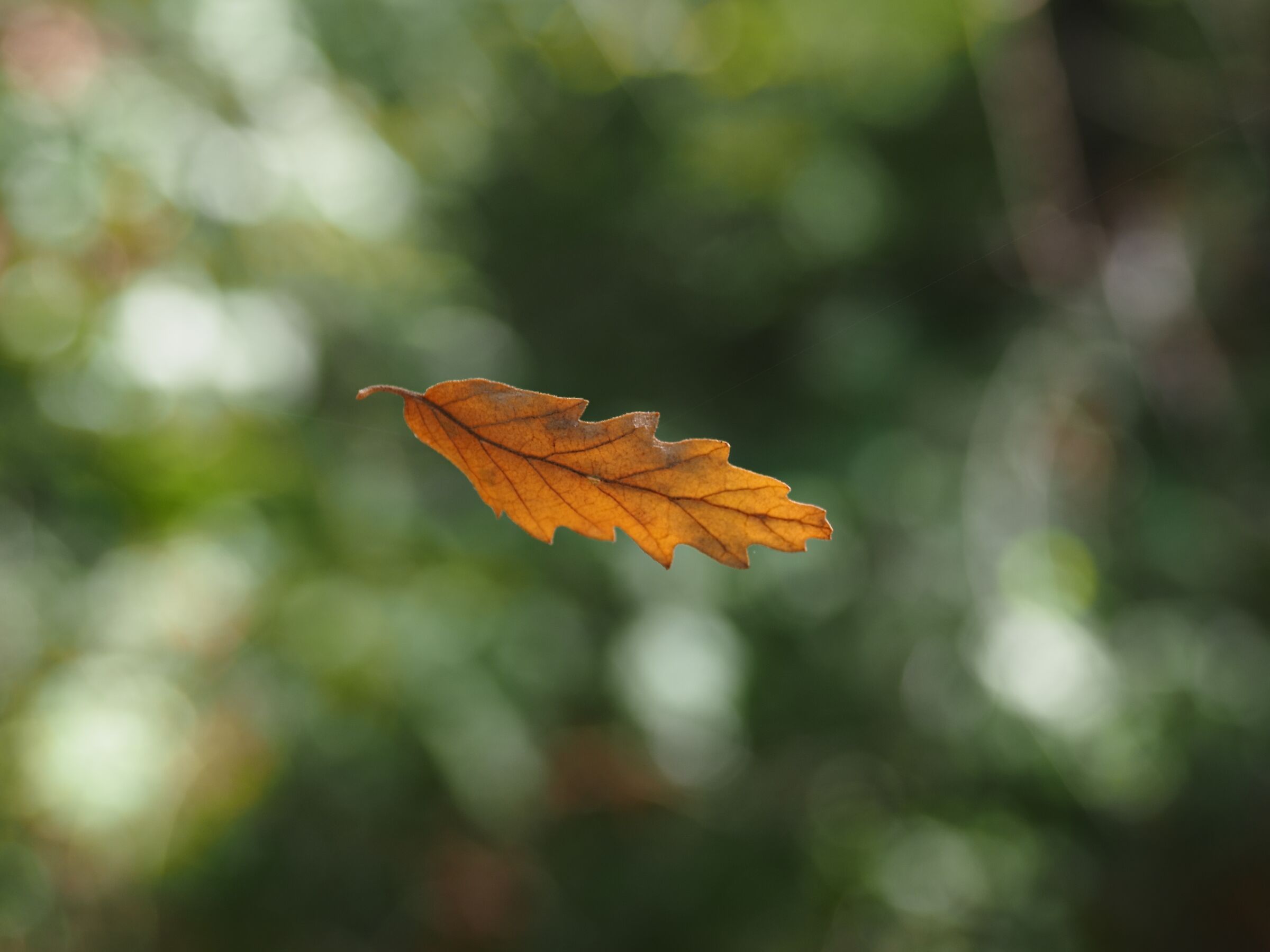 suspended in the void... or not?