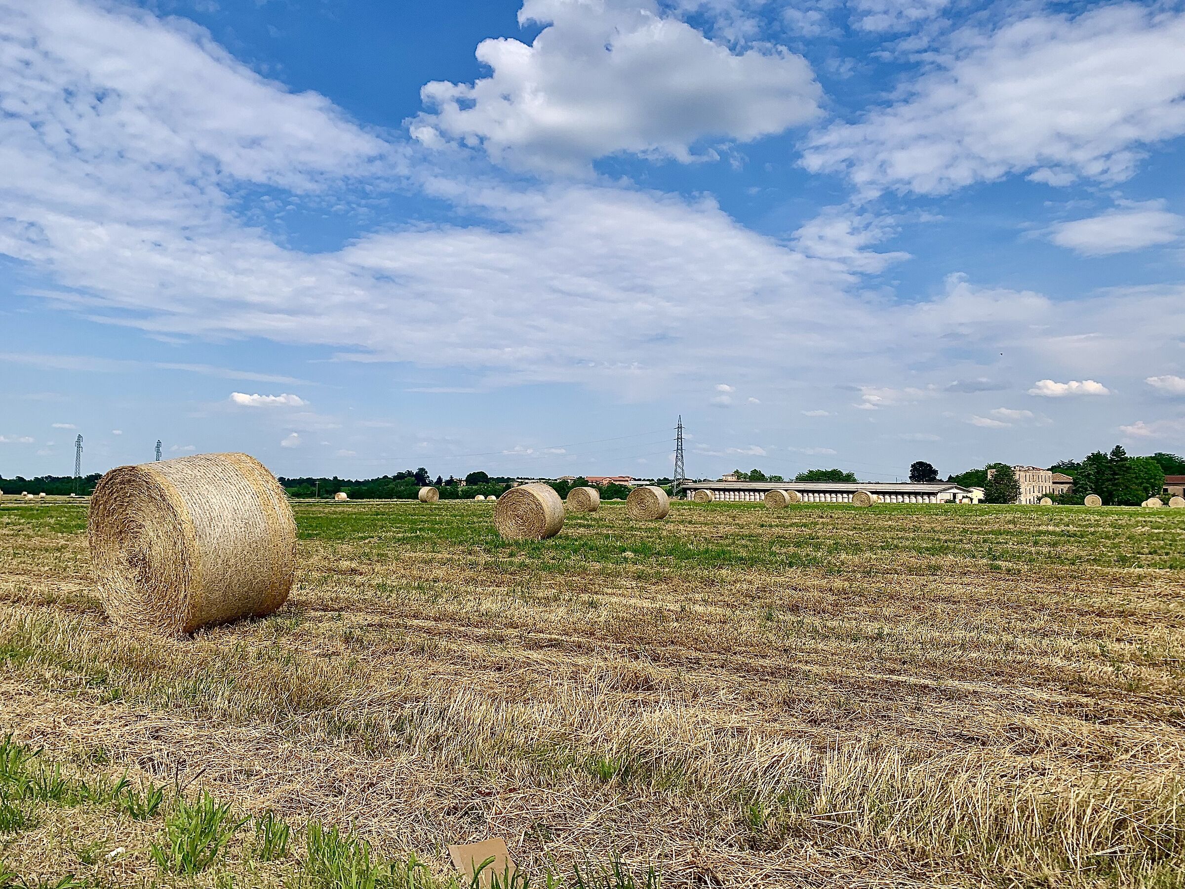 Going by fields