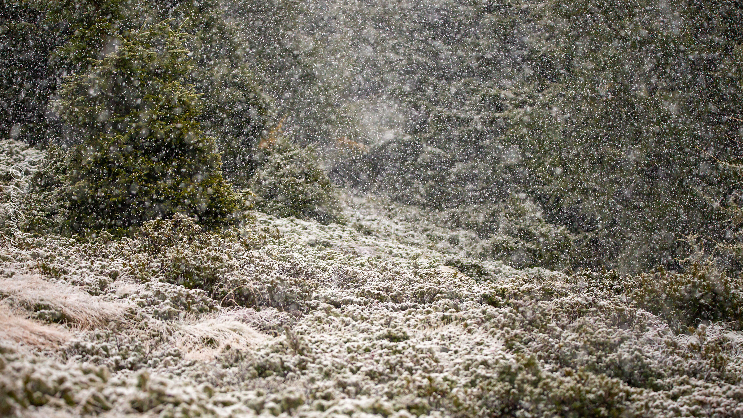 Prima nevicata autunnale