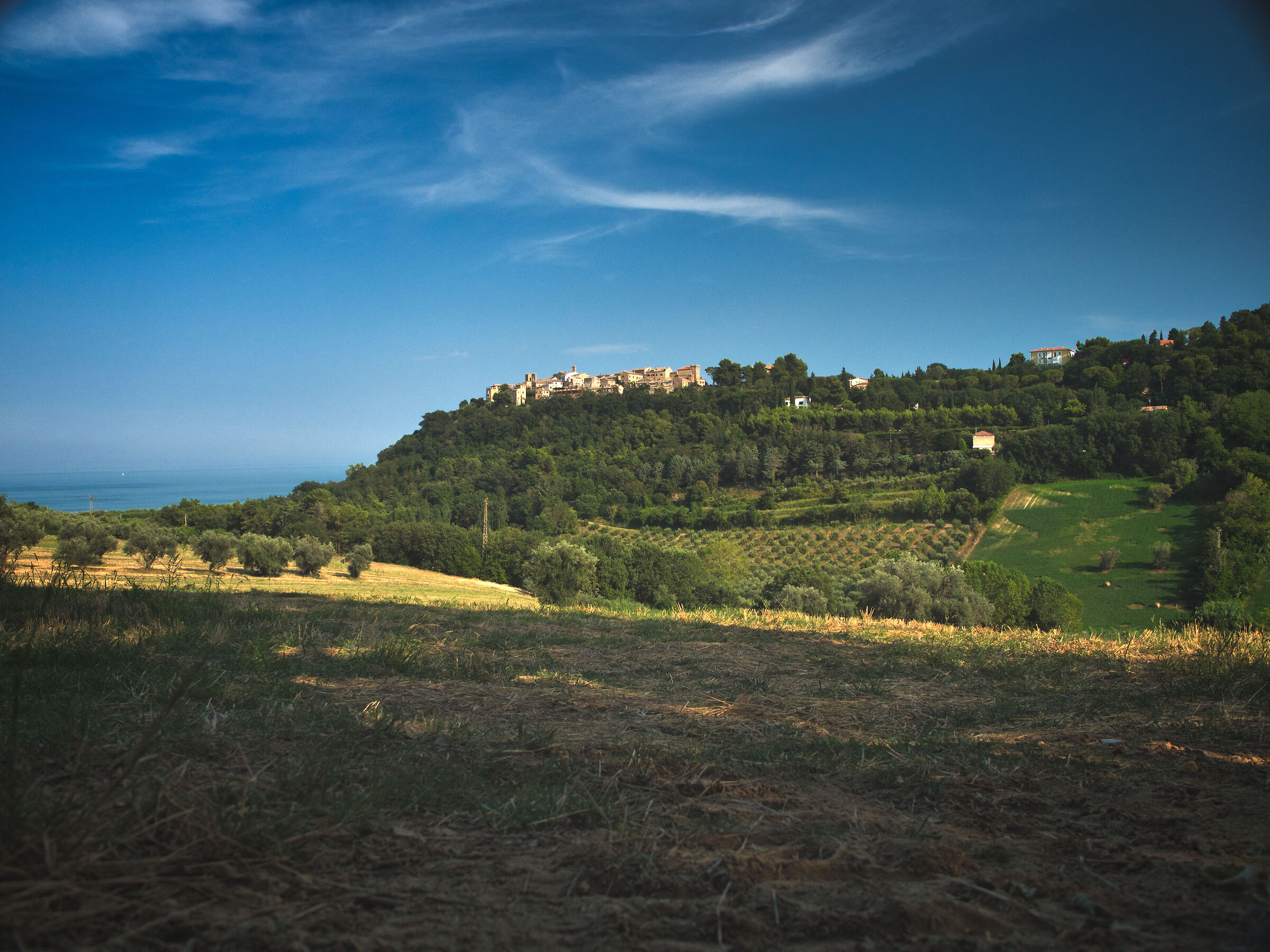 Borgo