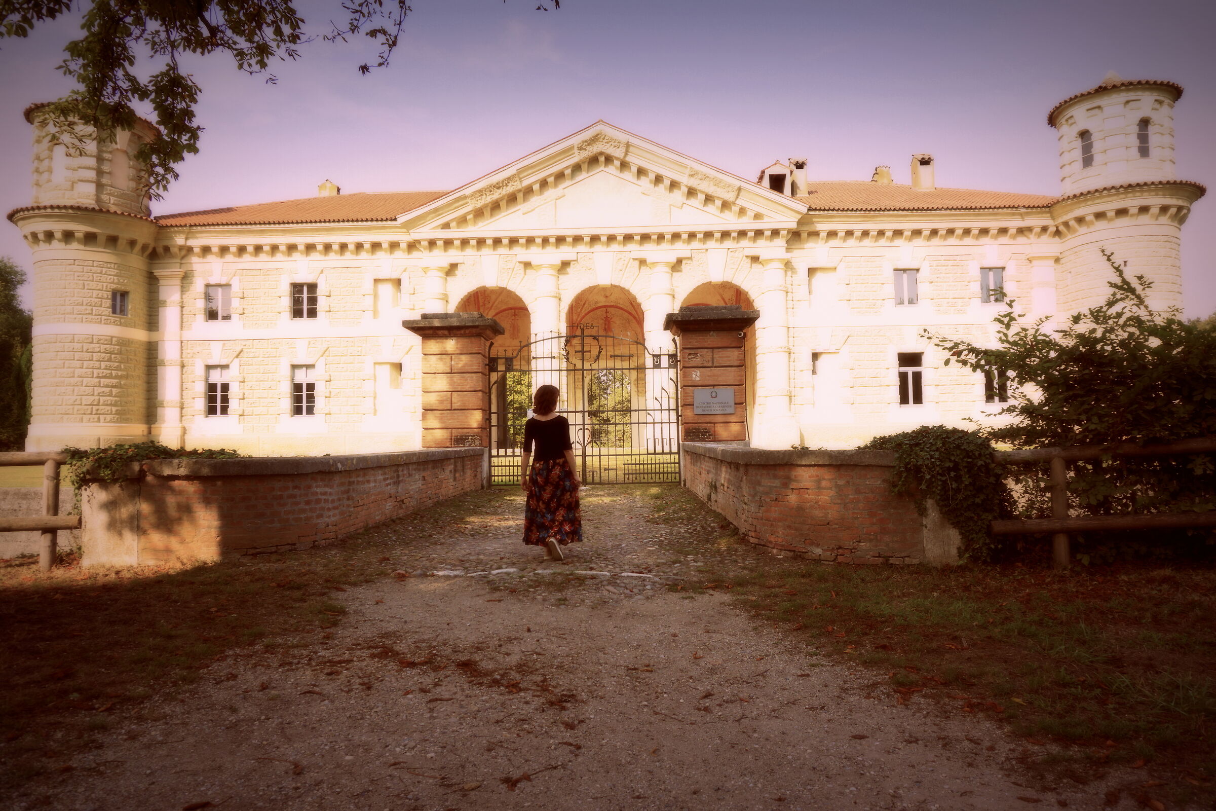 Back to the past