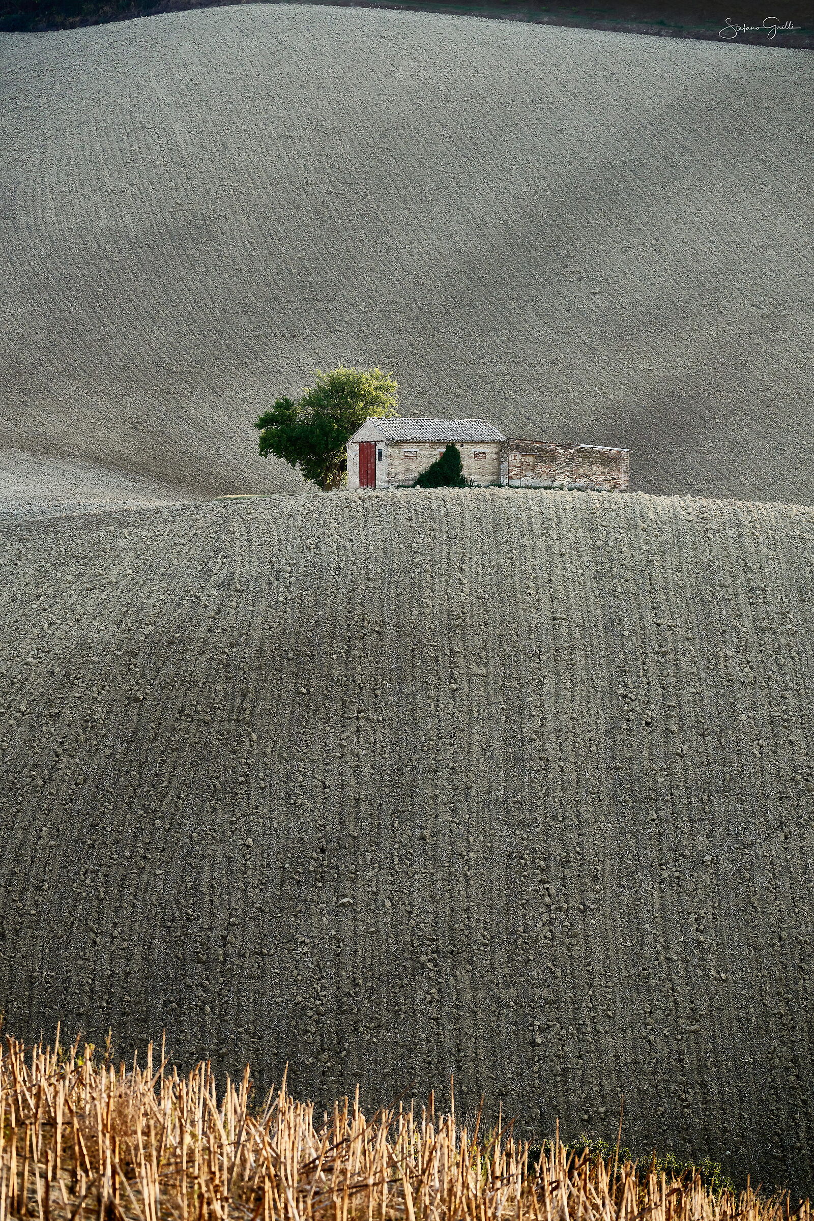 Campagna Marchigiana, Corridonia (MC) 03-10-2021