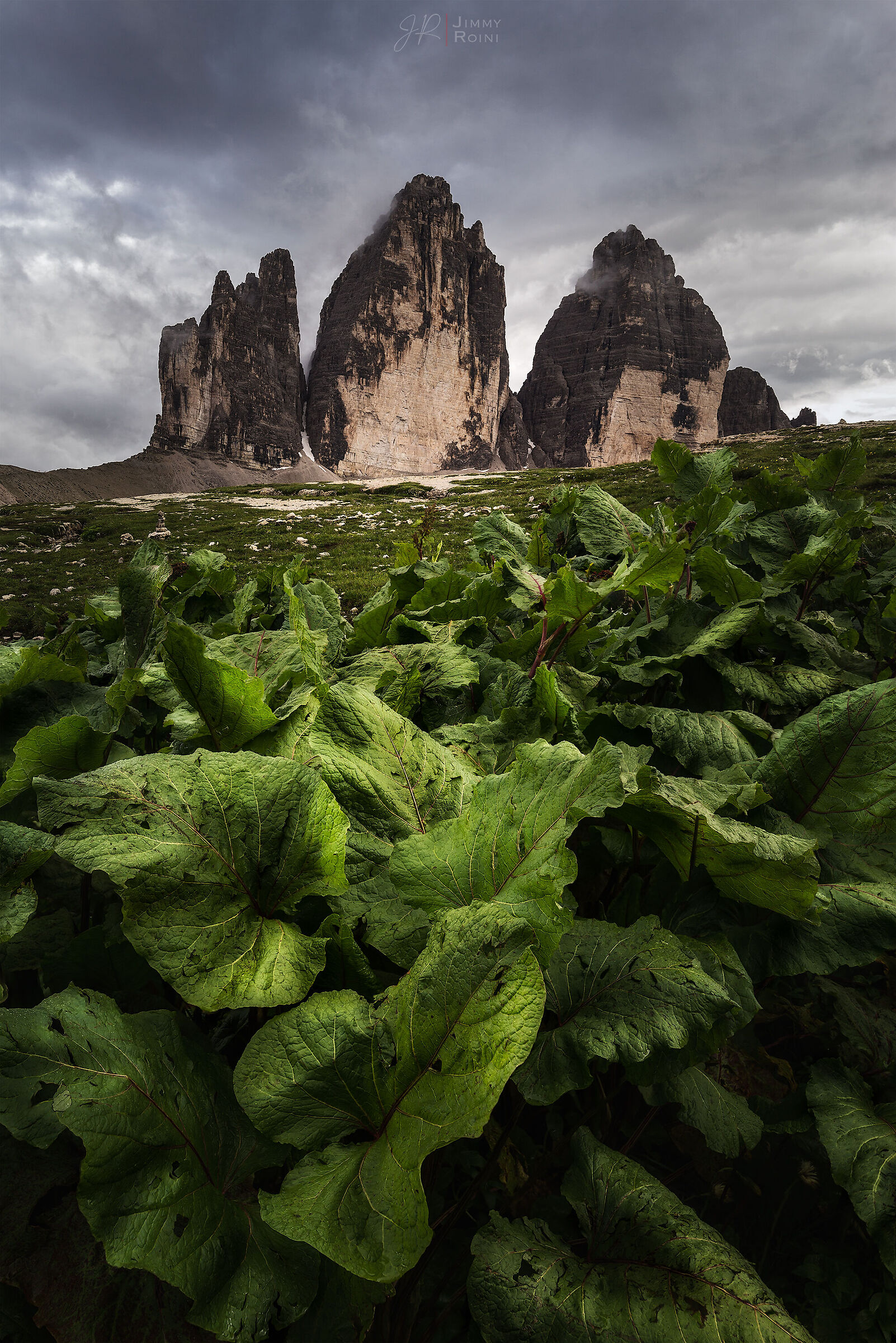 The Diamonds of the Dolomites