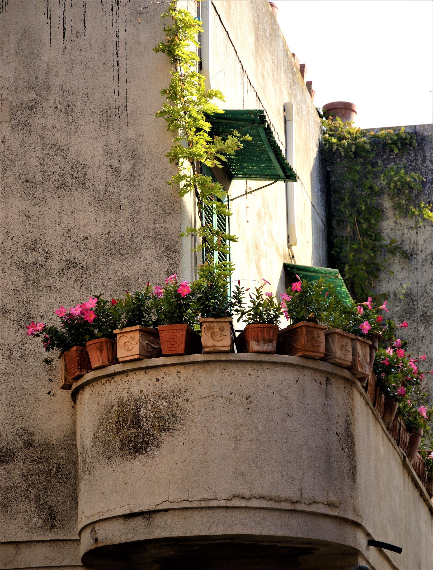 Balcone fiorito