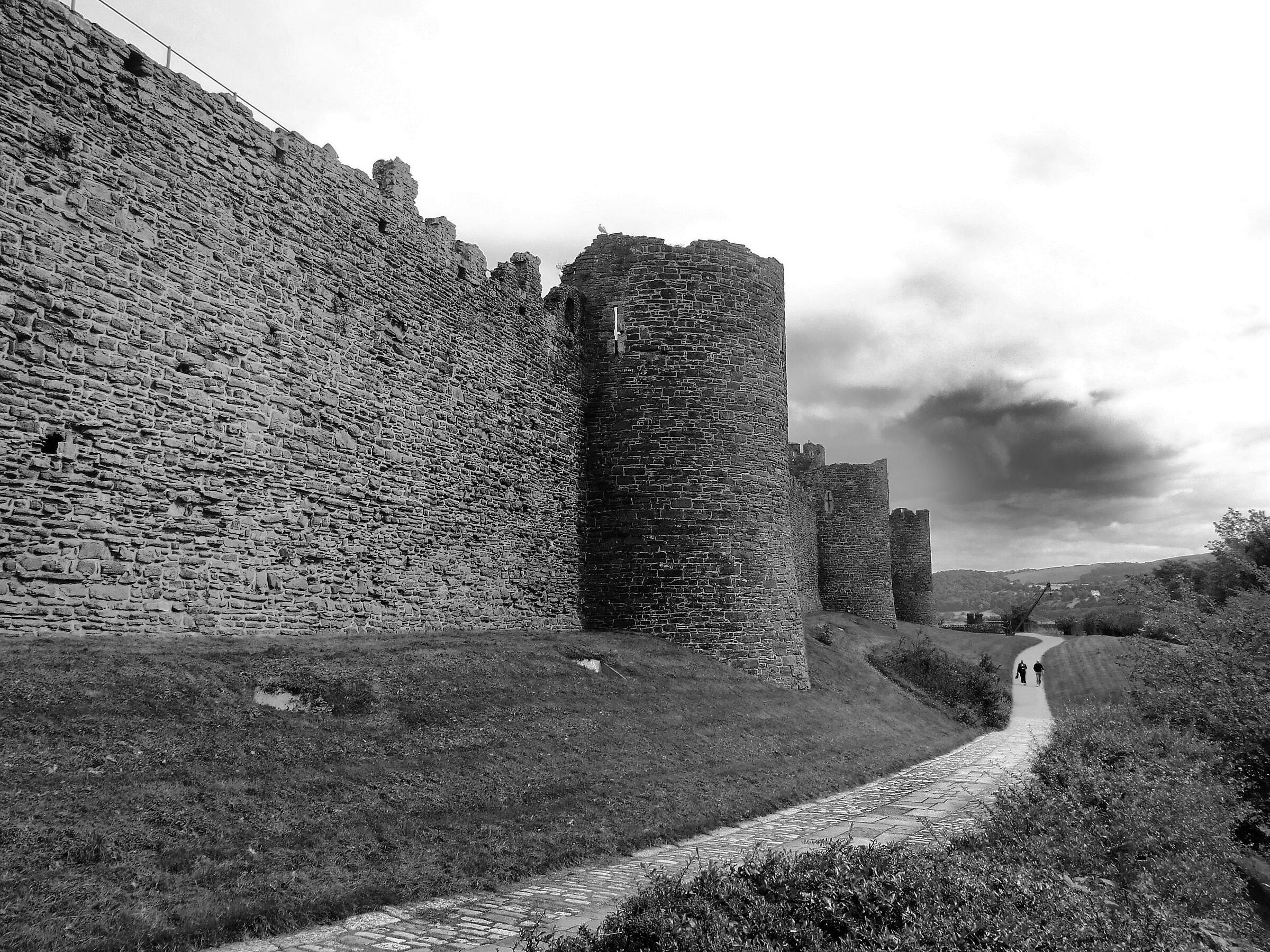 Il cammino della vita