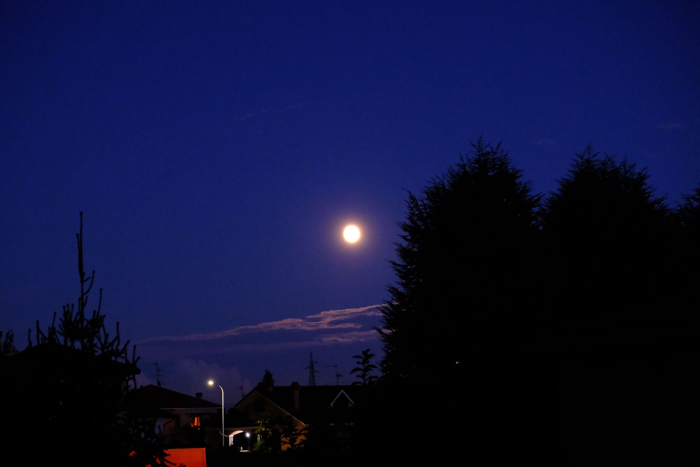 Le luci della sera 2