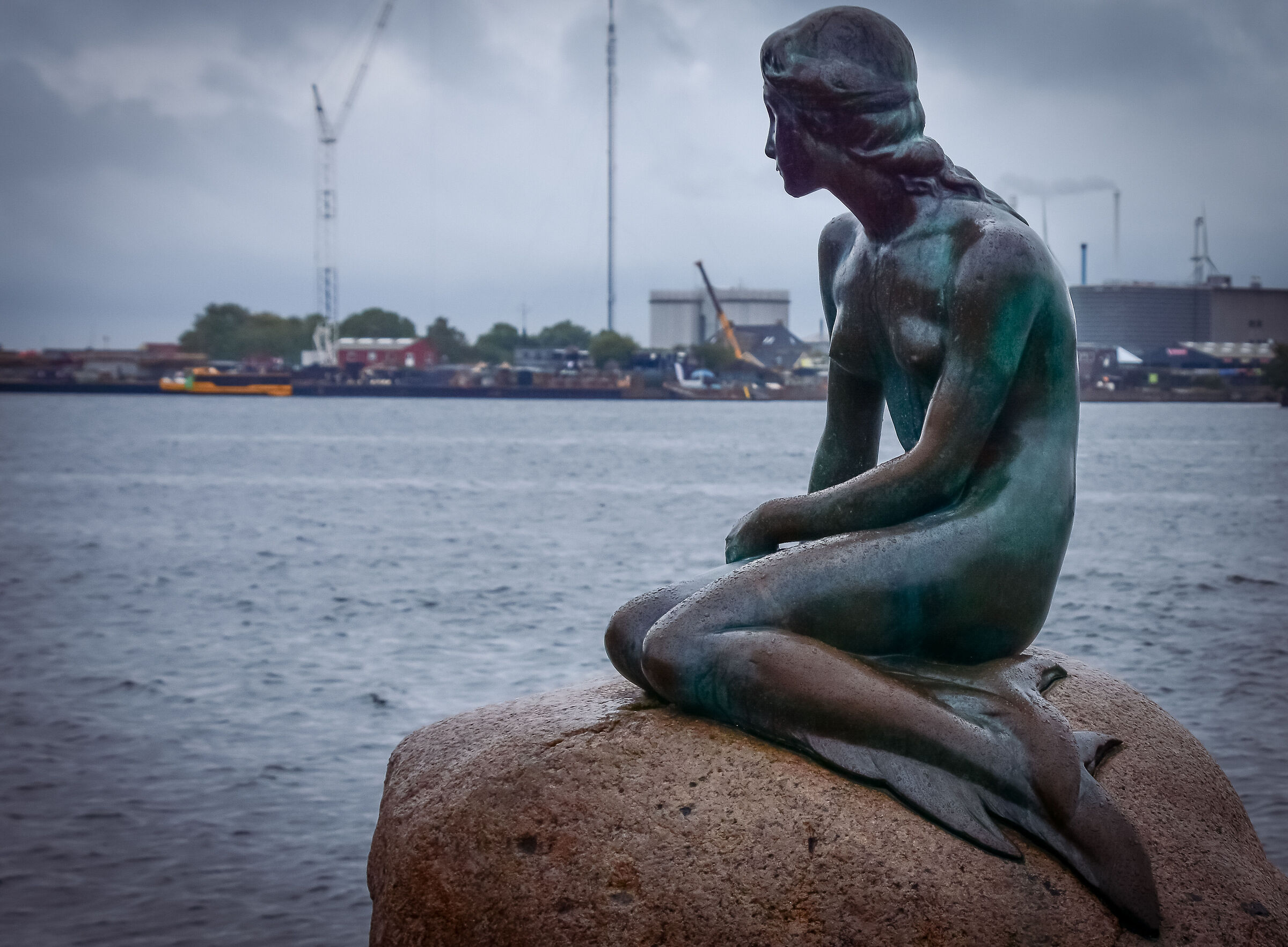 Maybe that's not what he expected... (Little Mermaid)