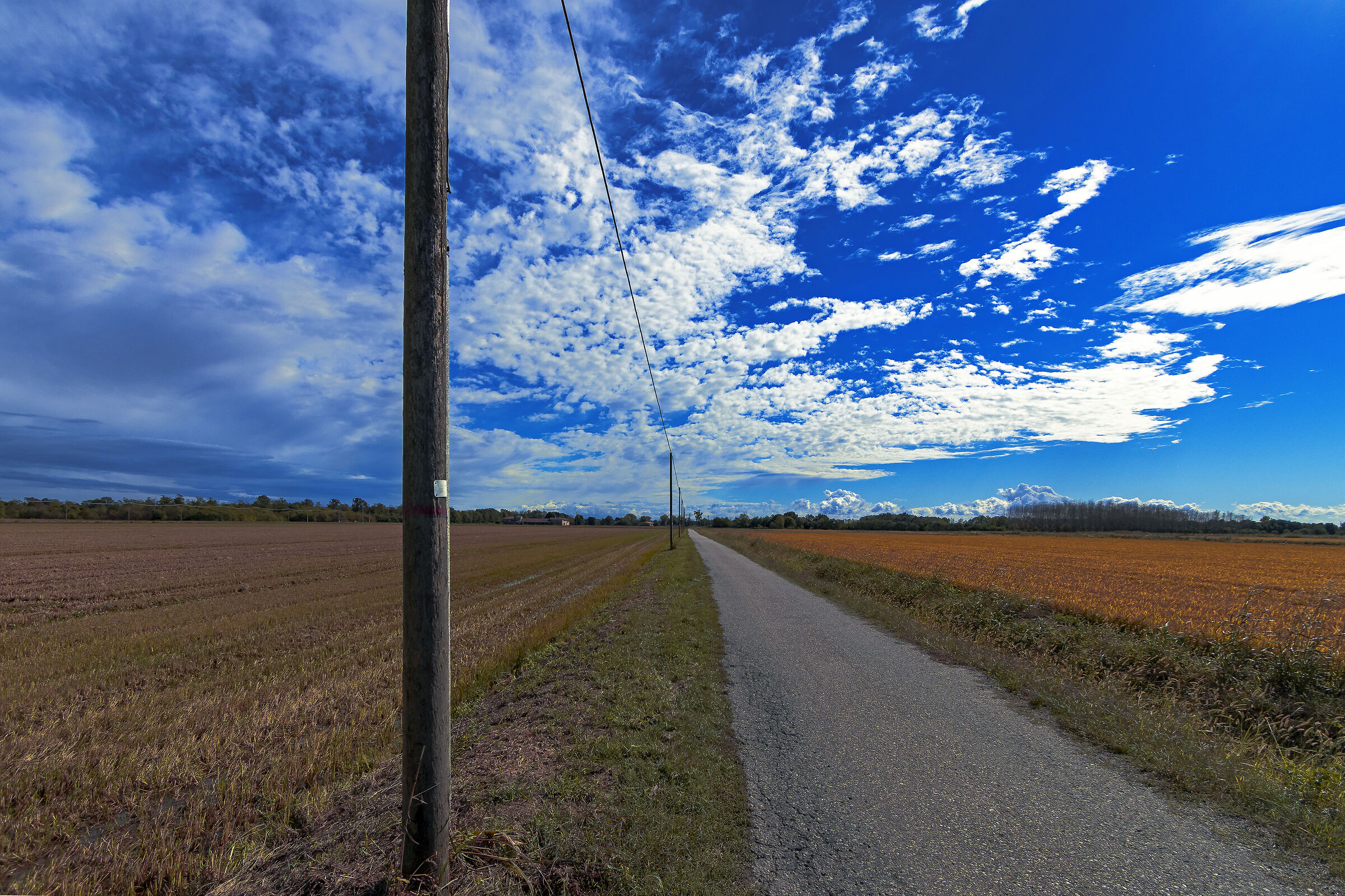 La strada del riso