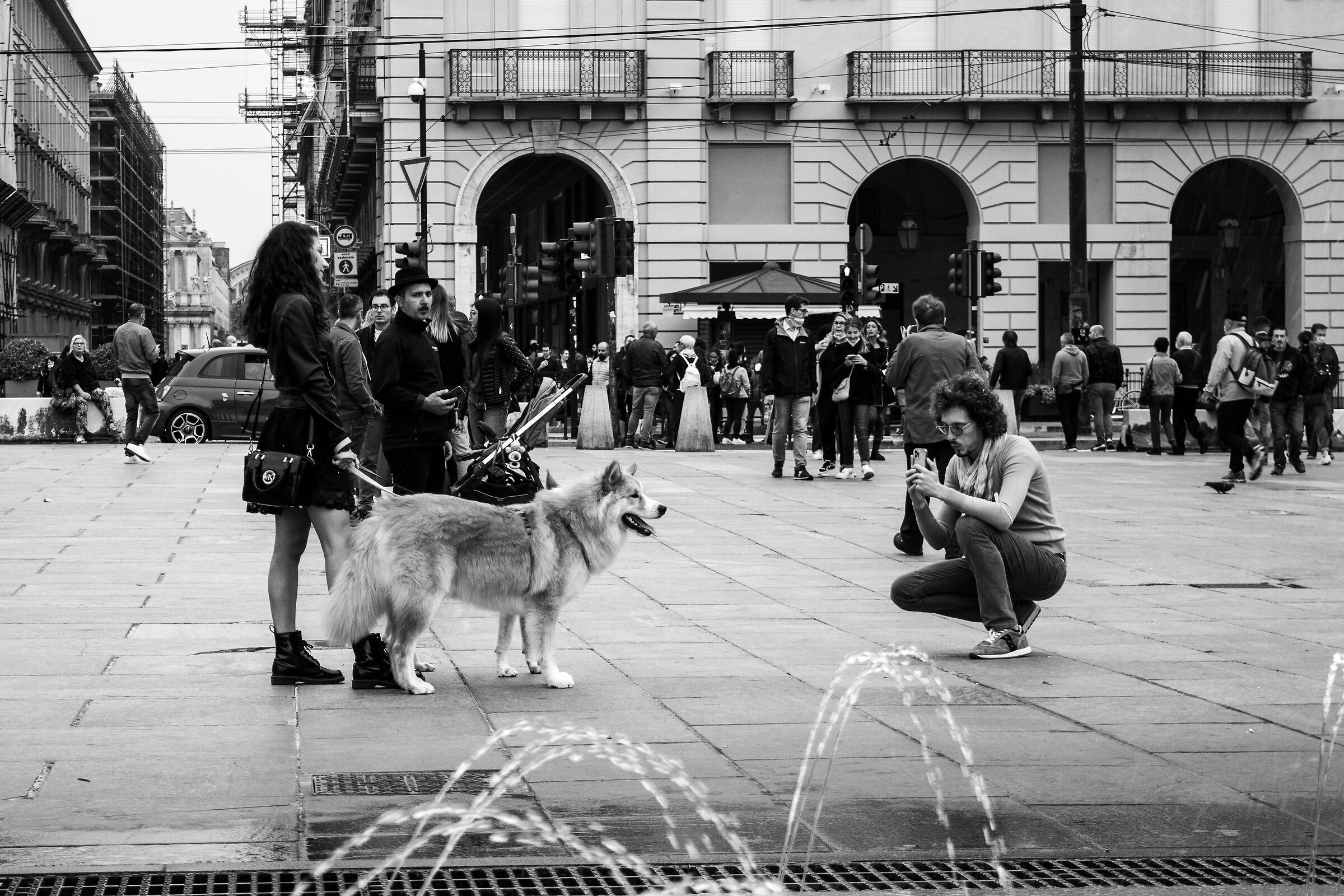 Un cane modello... o un modello cane?