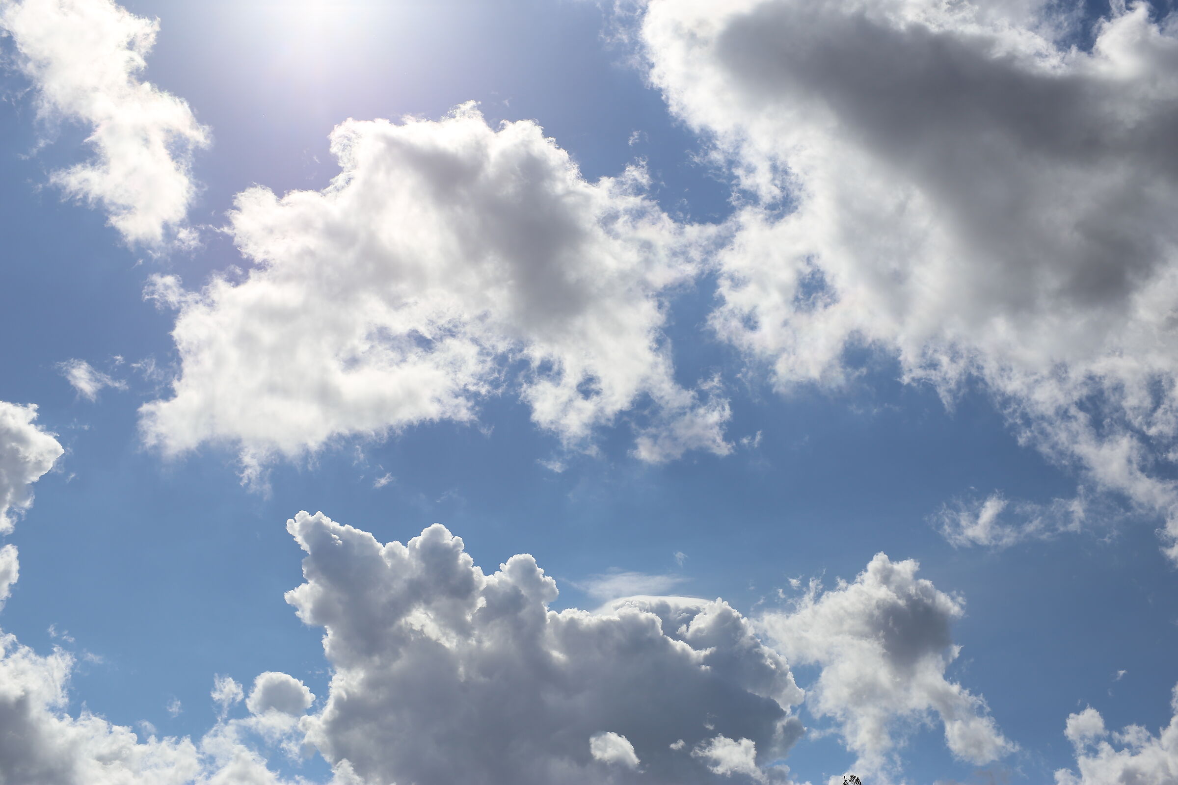 @ " 1/ 4 Mila " Milvus Zeiss 50 1.4 - Canon 6 D