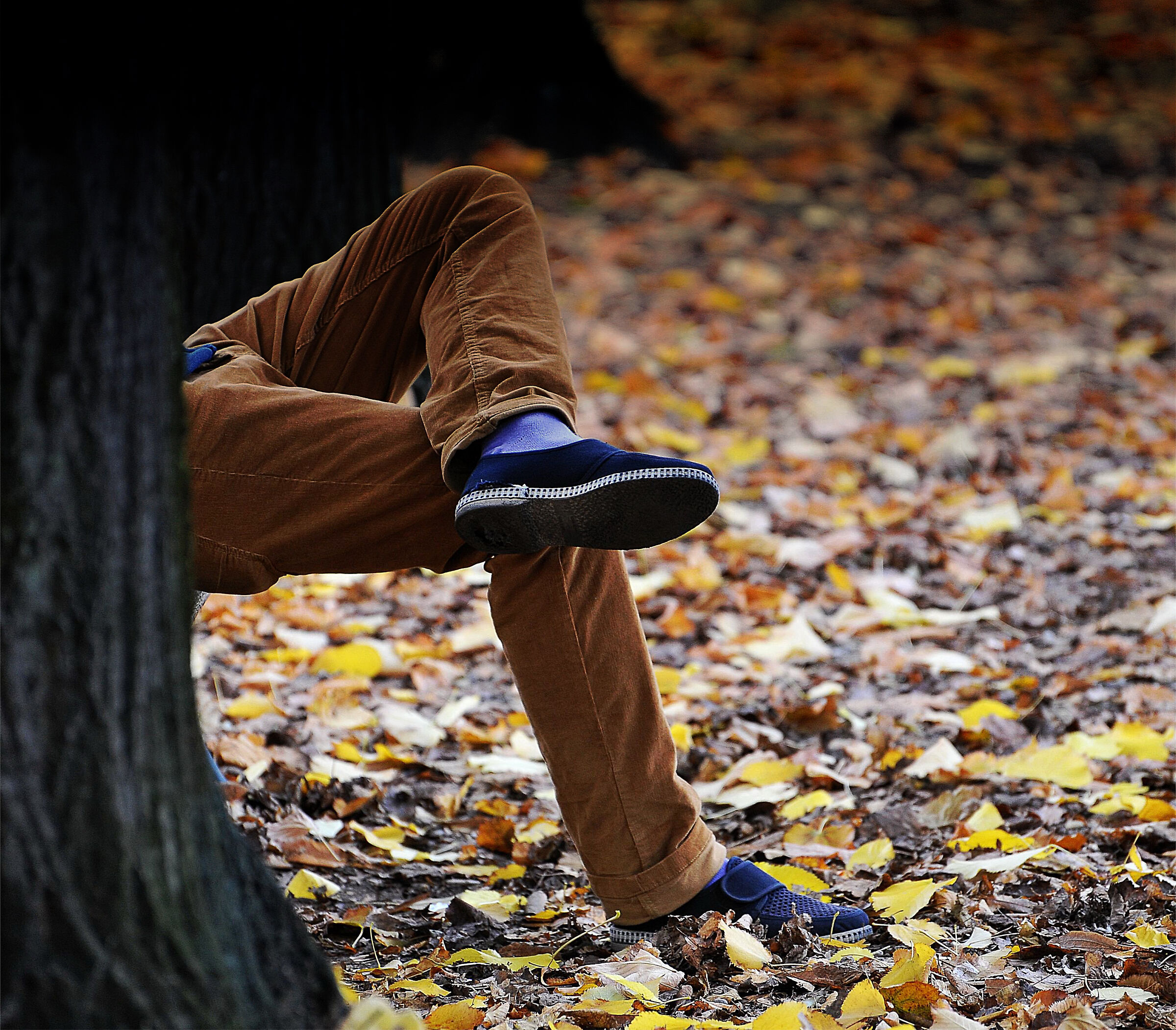 I colori dell'autunno