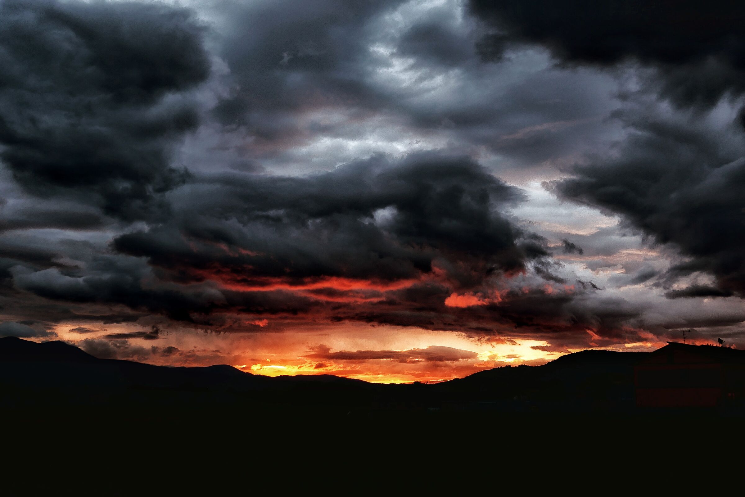 Untitled Photo