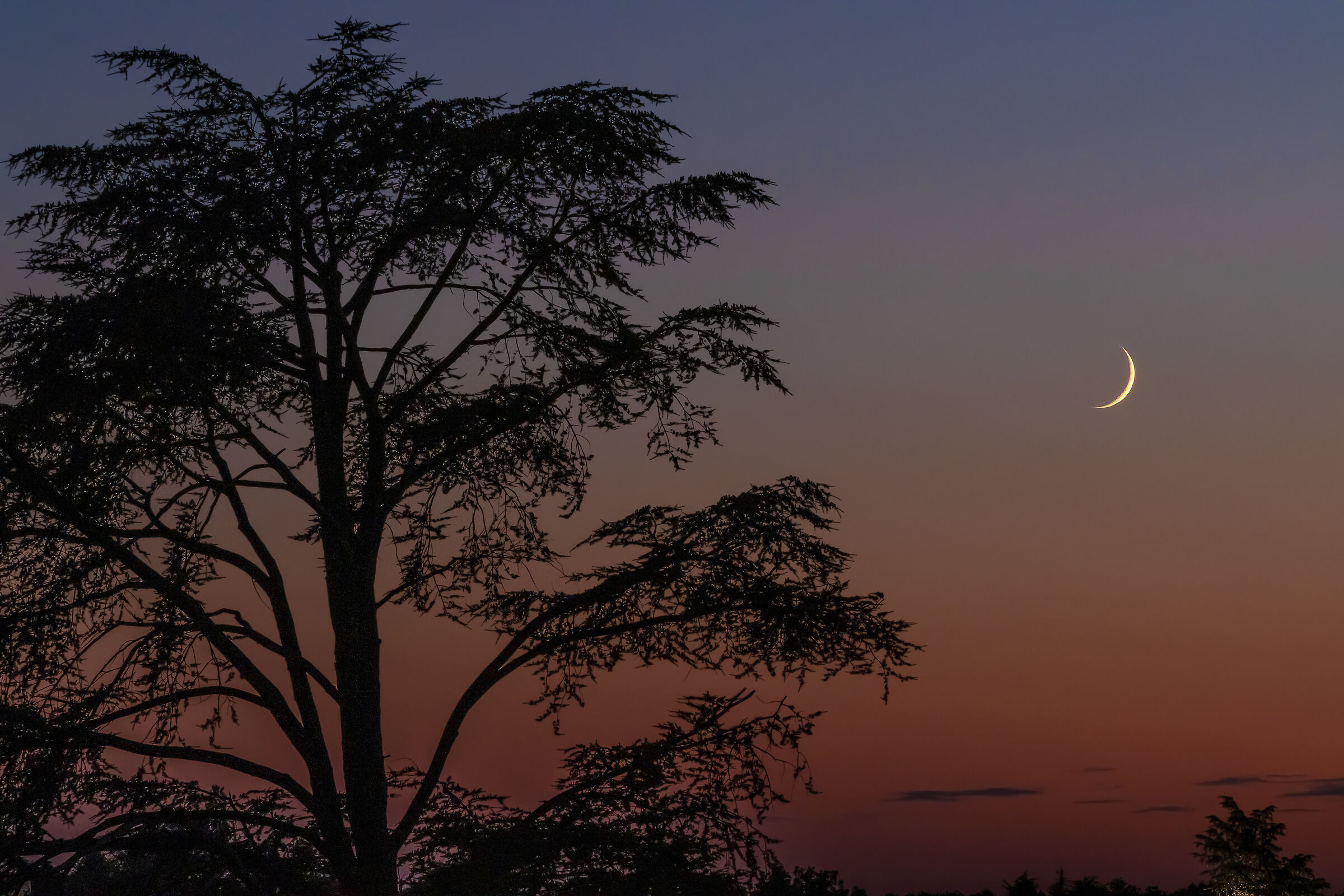 Luna nuova dalla terrazza di casa