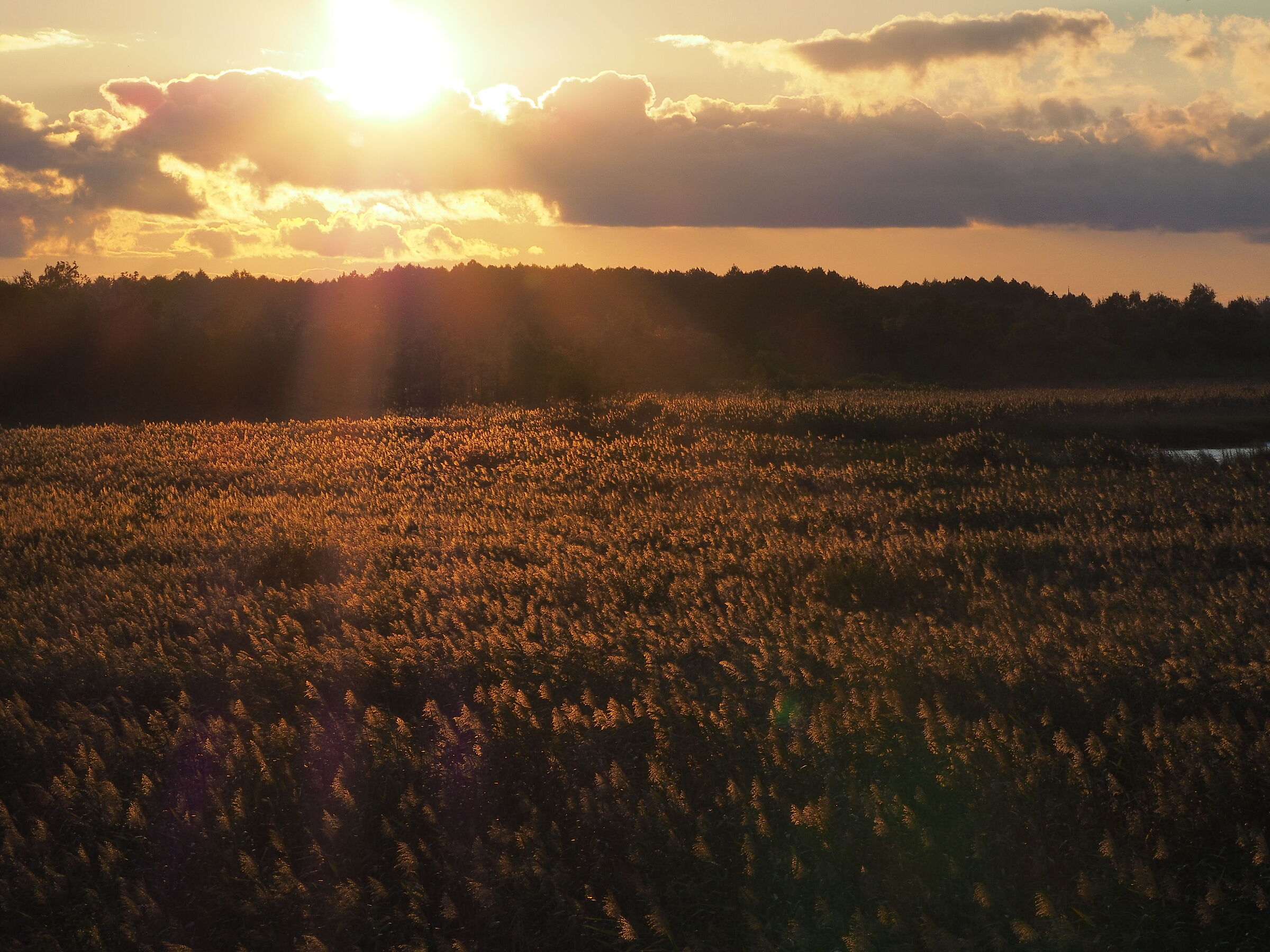 Tramonto in Masuria, Polonia orientale