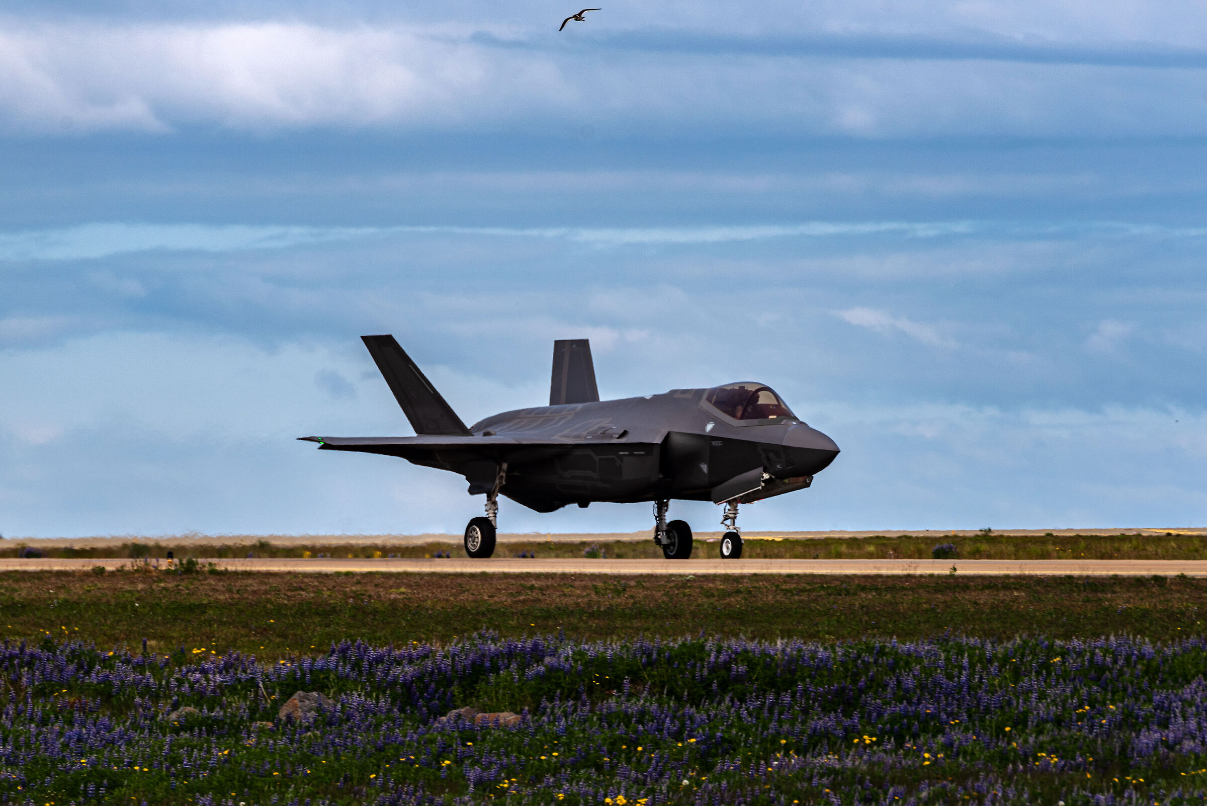 f-35 in attesa di decollare