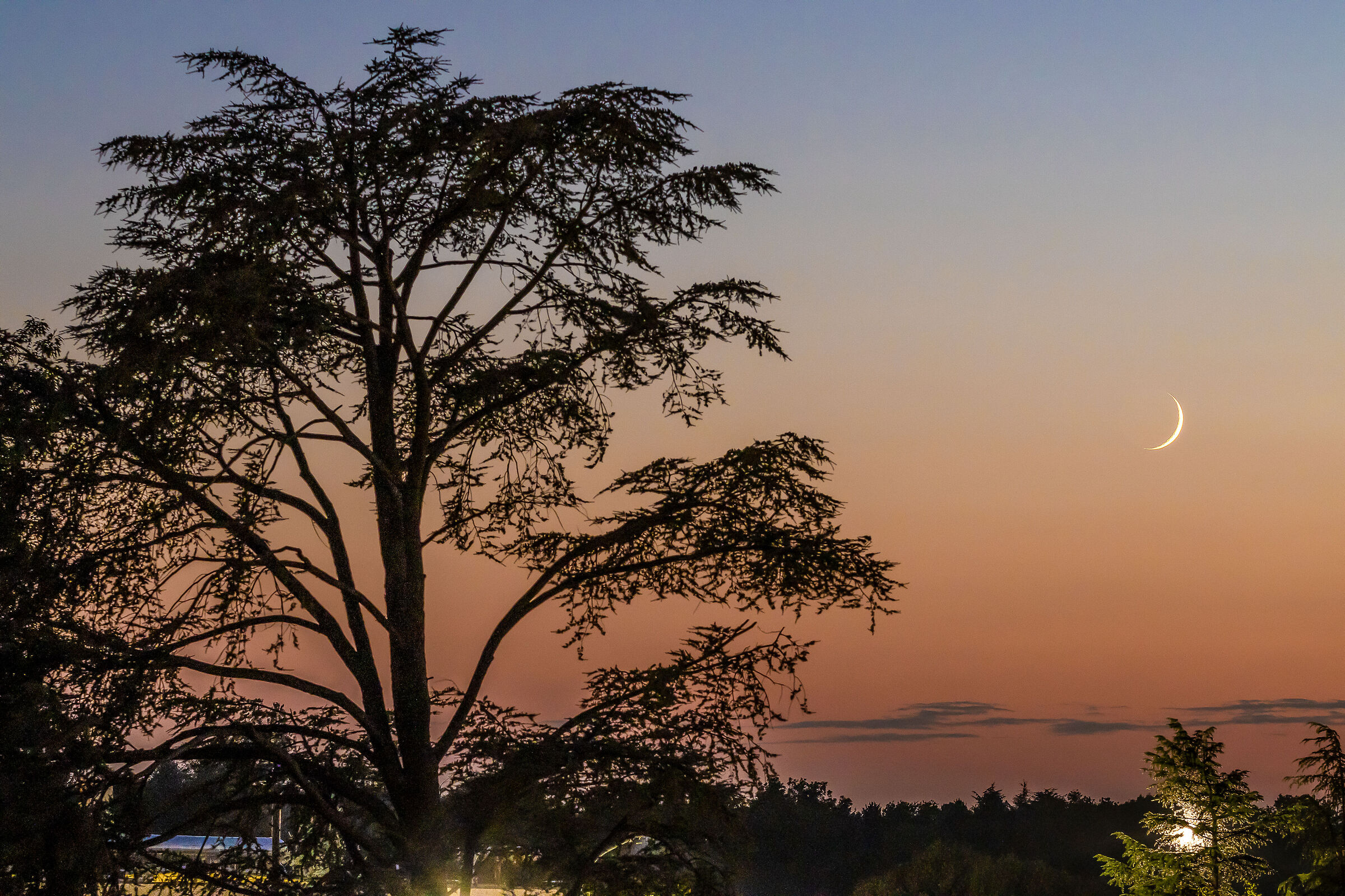 Il tramonto della Luna nuova