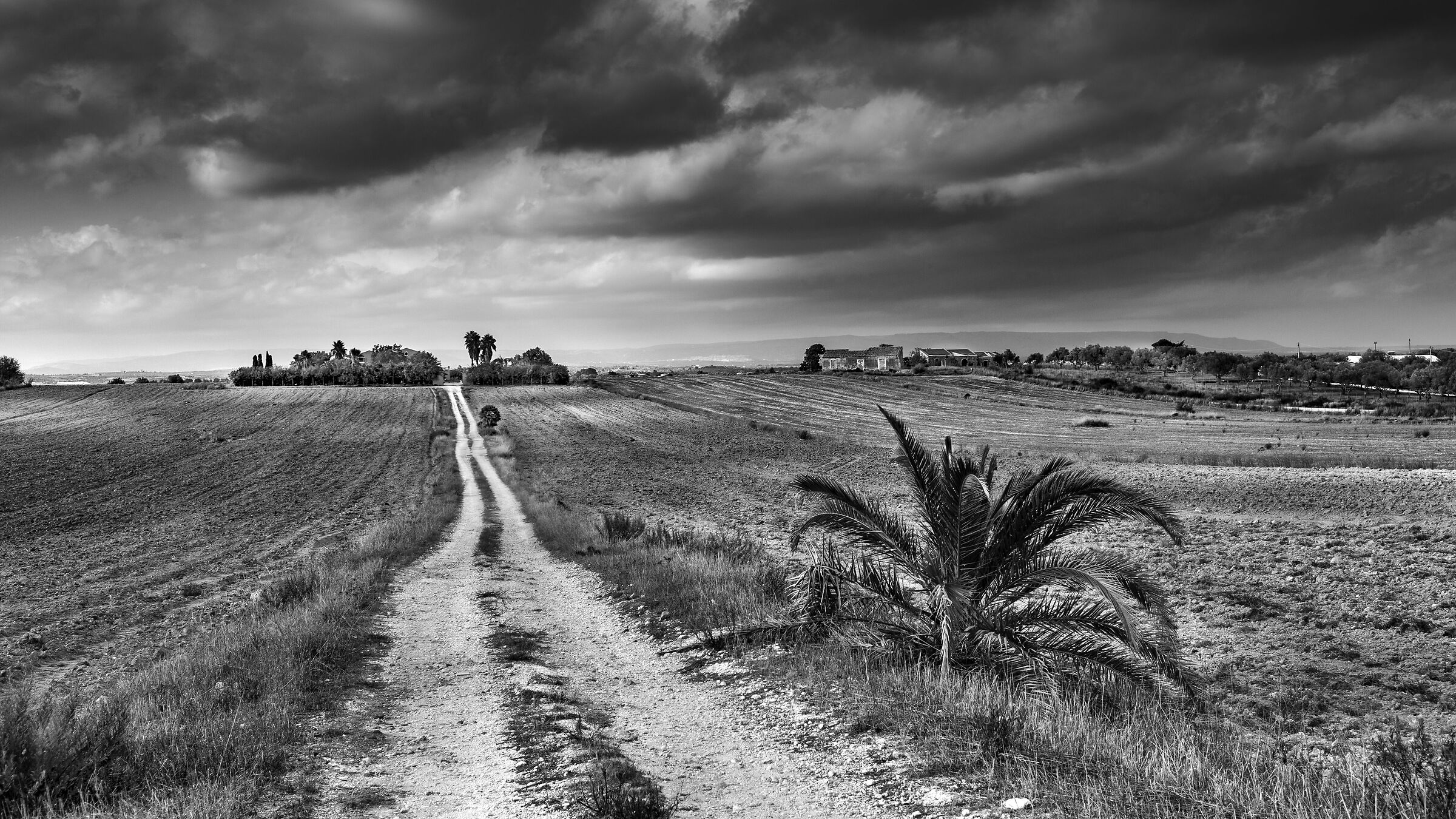 Untitled Photo