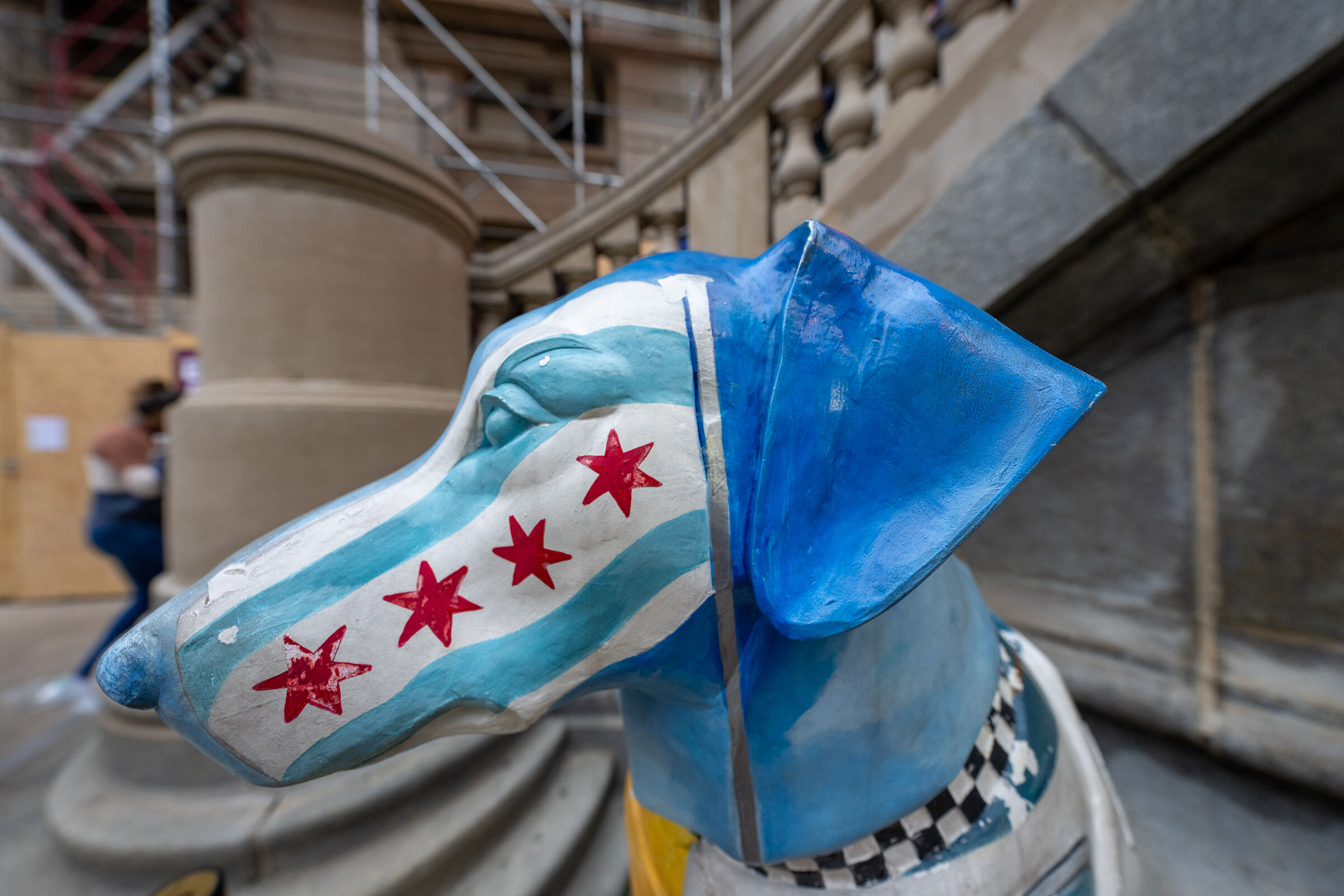 Strange dog with Chicago Flag