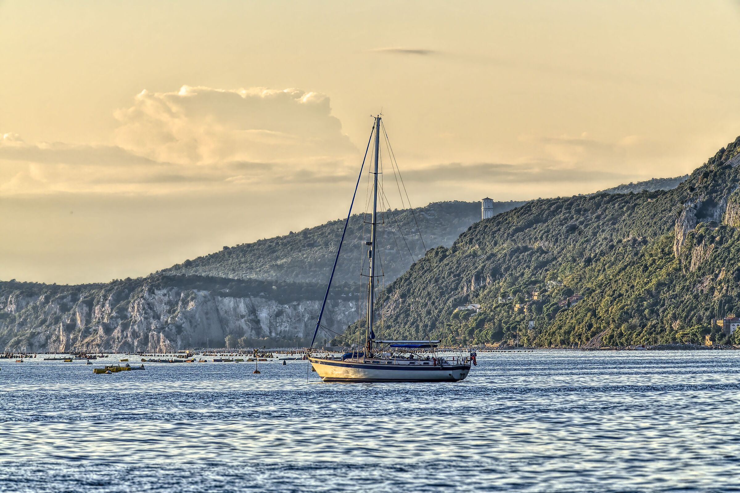 Non partecipa alla regata ....