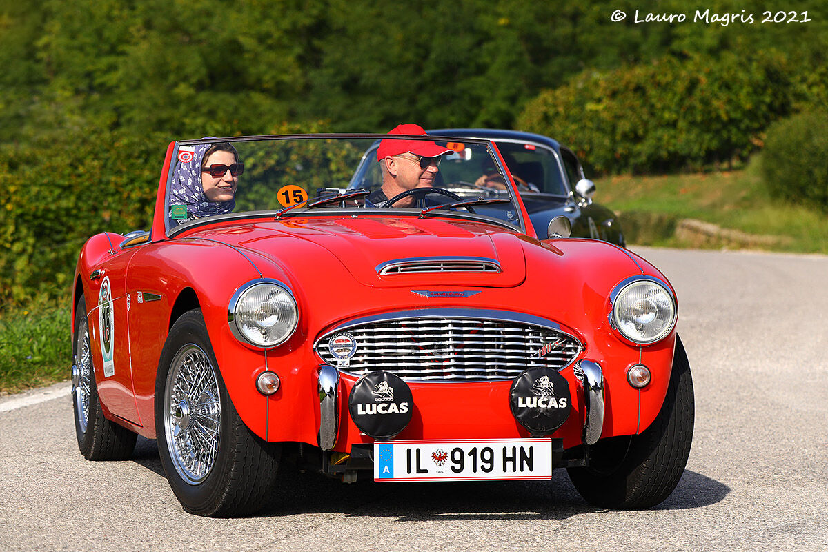Austin Healey 100/6 BN6 1958