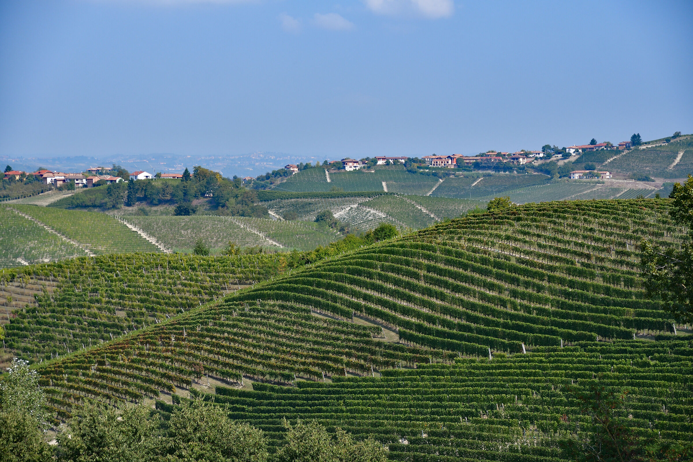 Langhe_1
