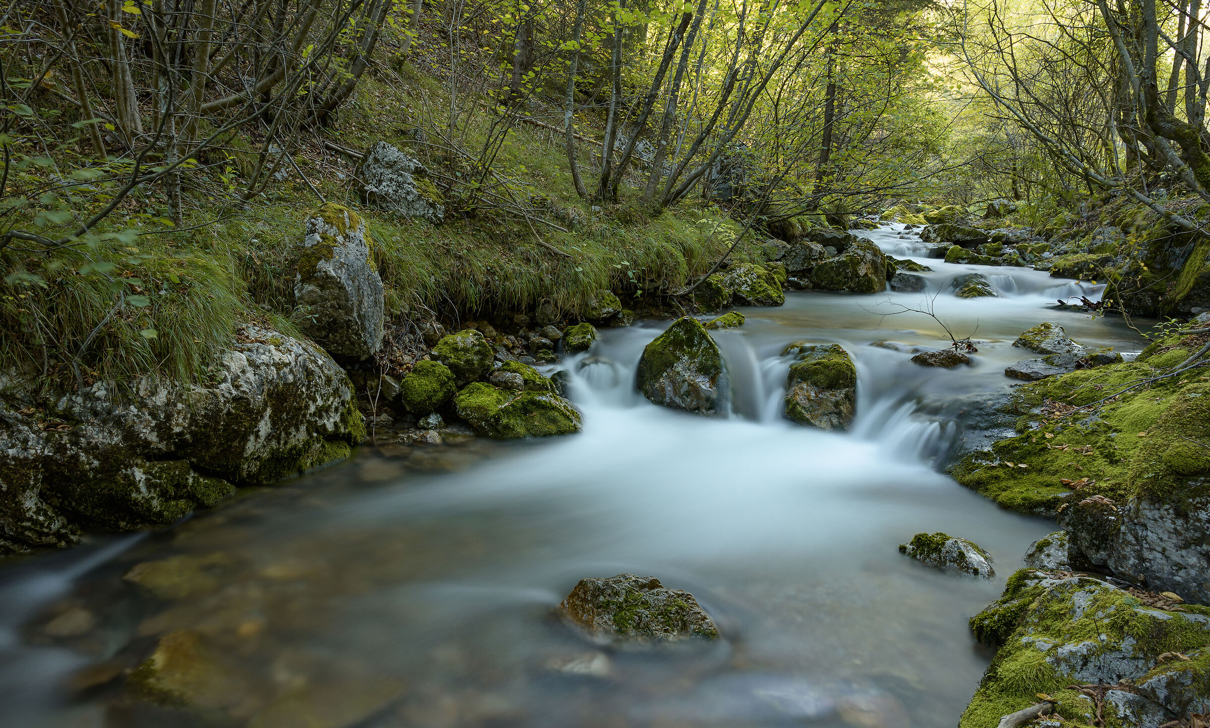 Torrente Tresenica - Val di Tovel