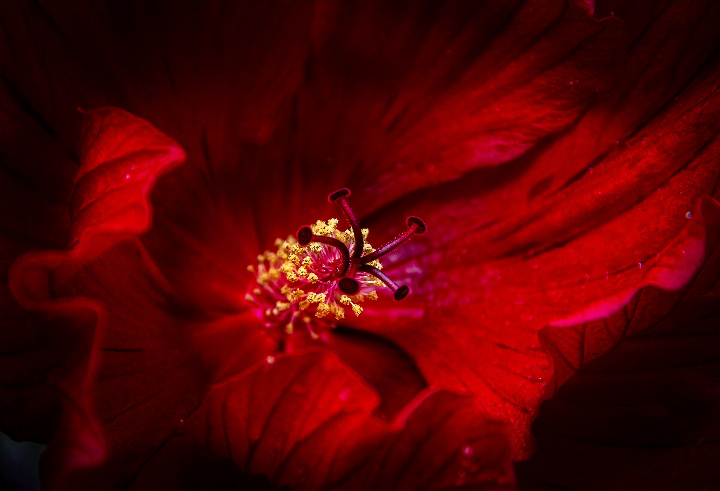 Profondo rosso