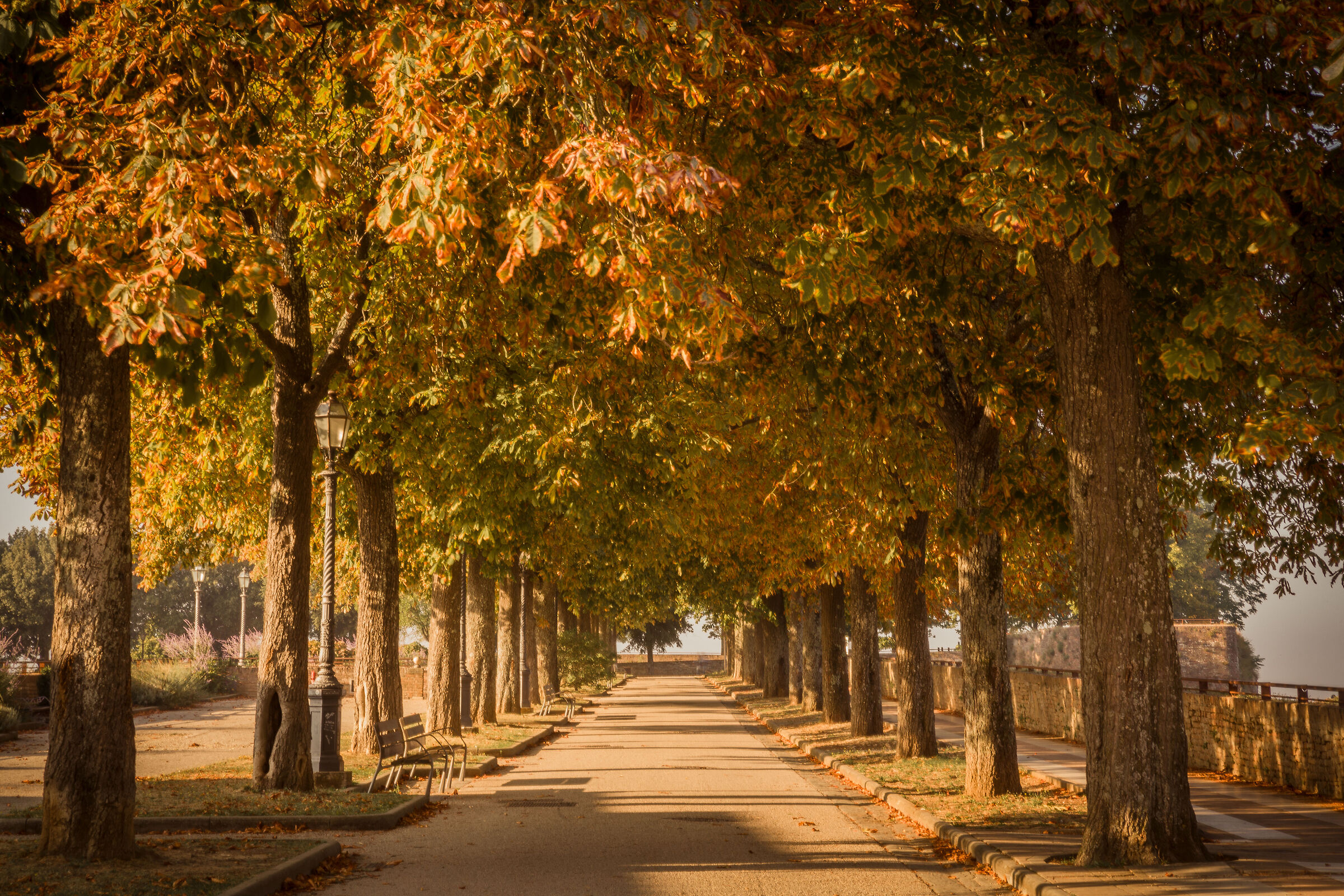 Parco nei colori caldi autunnali