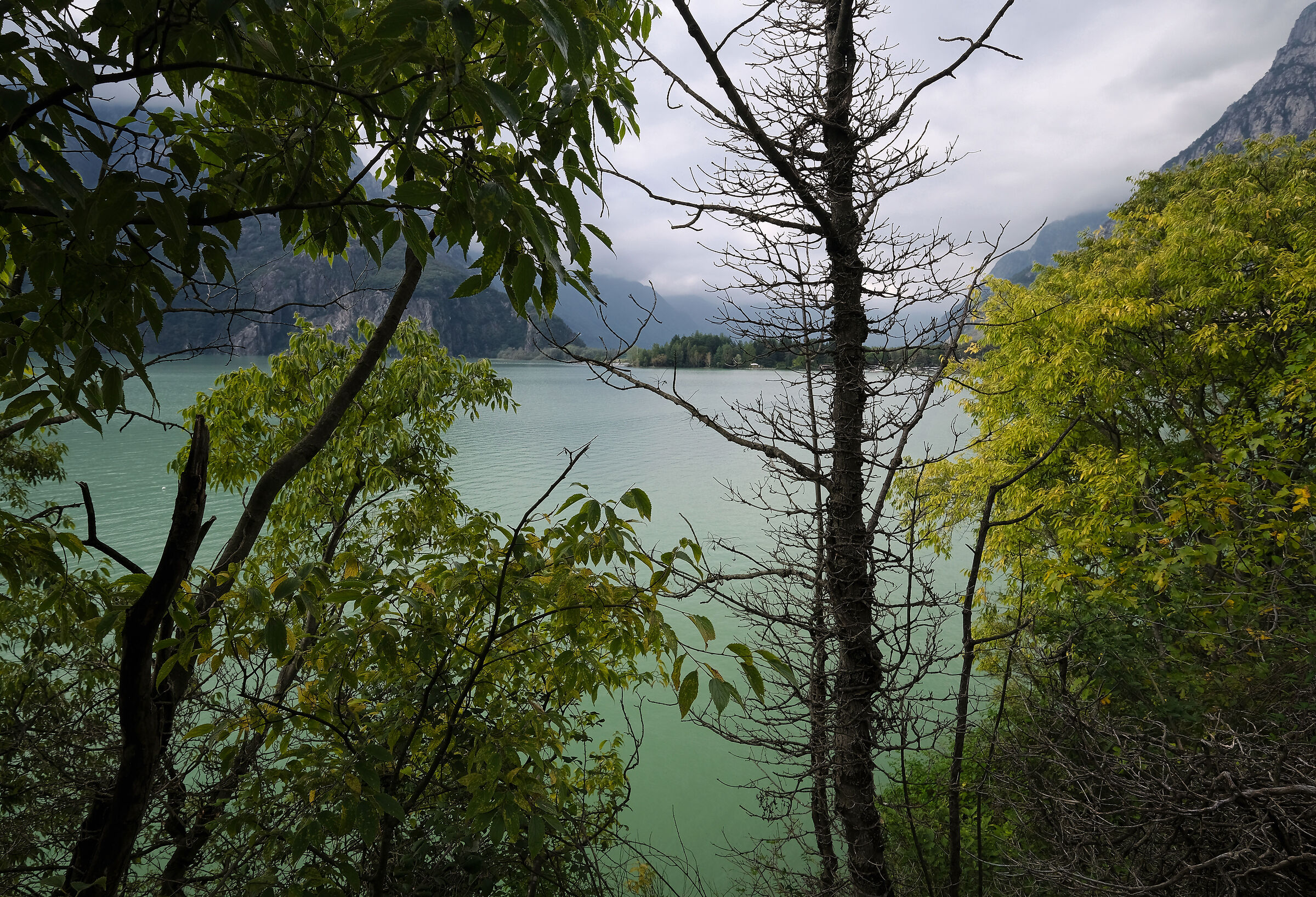 lago di Mezzola (so)