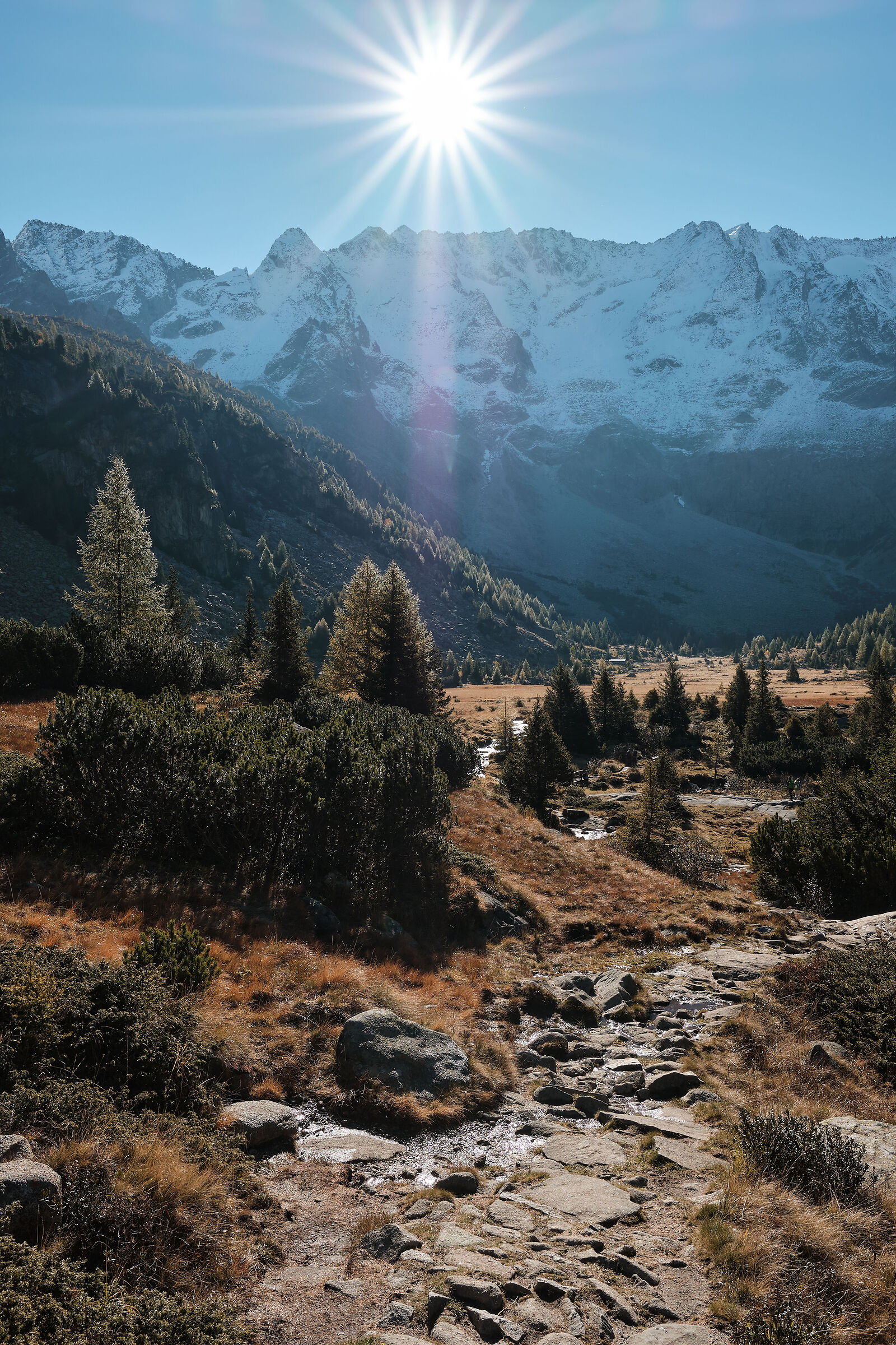 La magia dei colori autunnali in alta quota