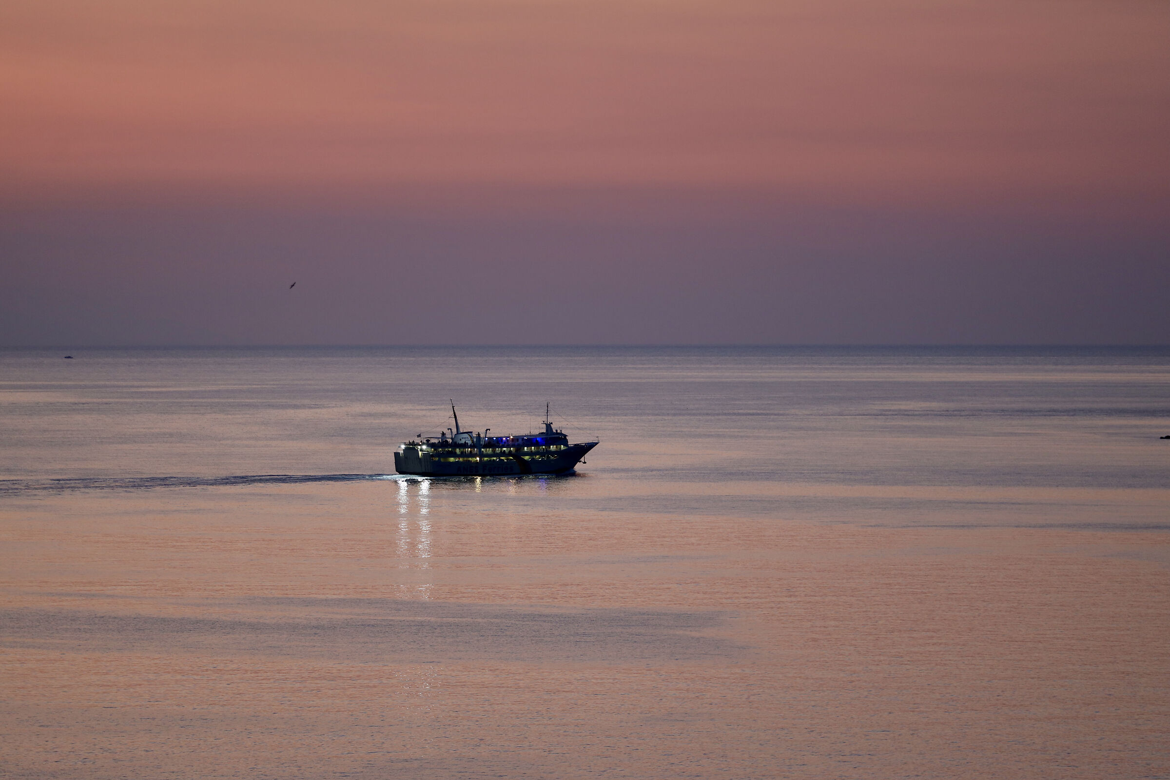 Surfing in the evening