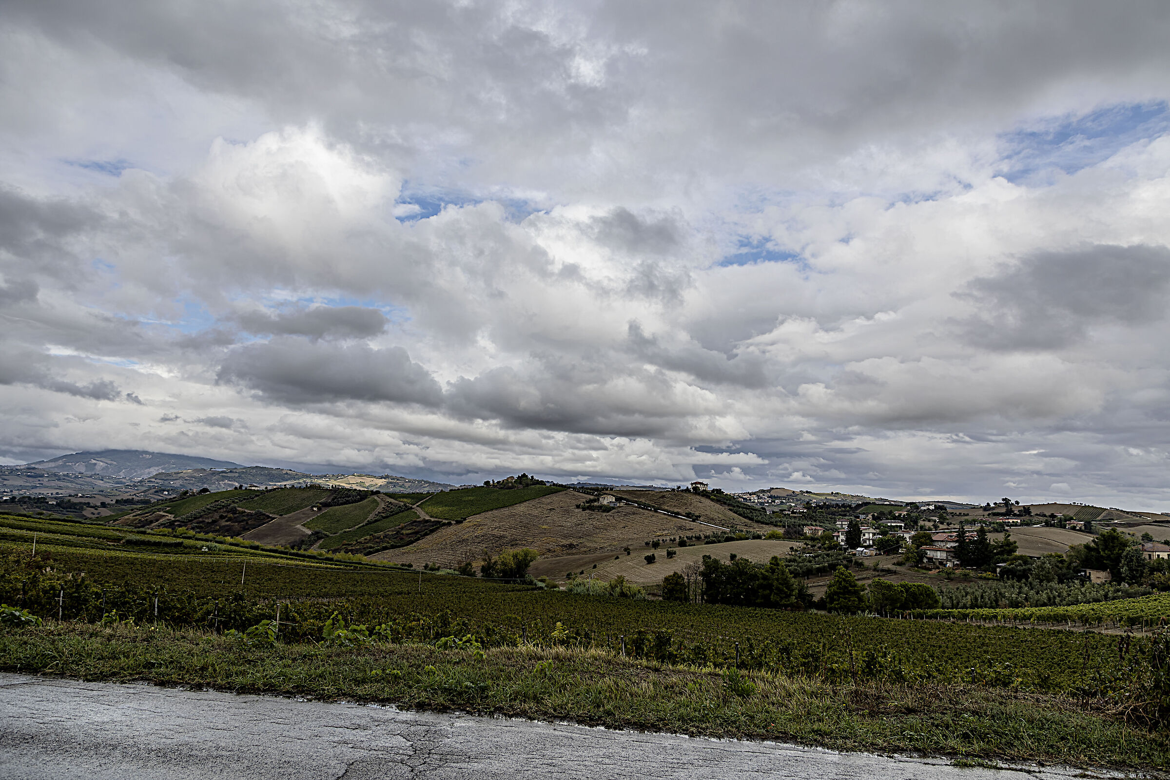 Untitled Photo