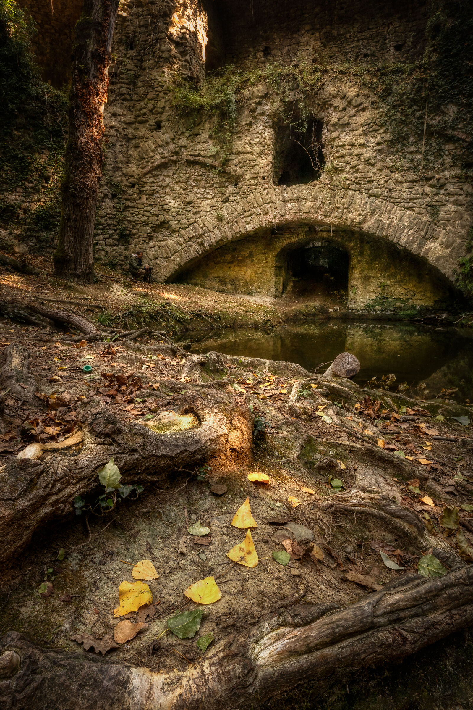 Mulinaccio by Scandicci