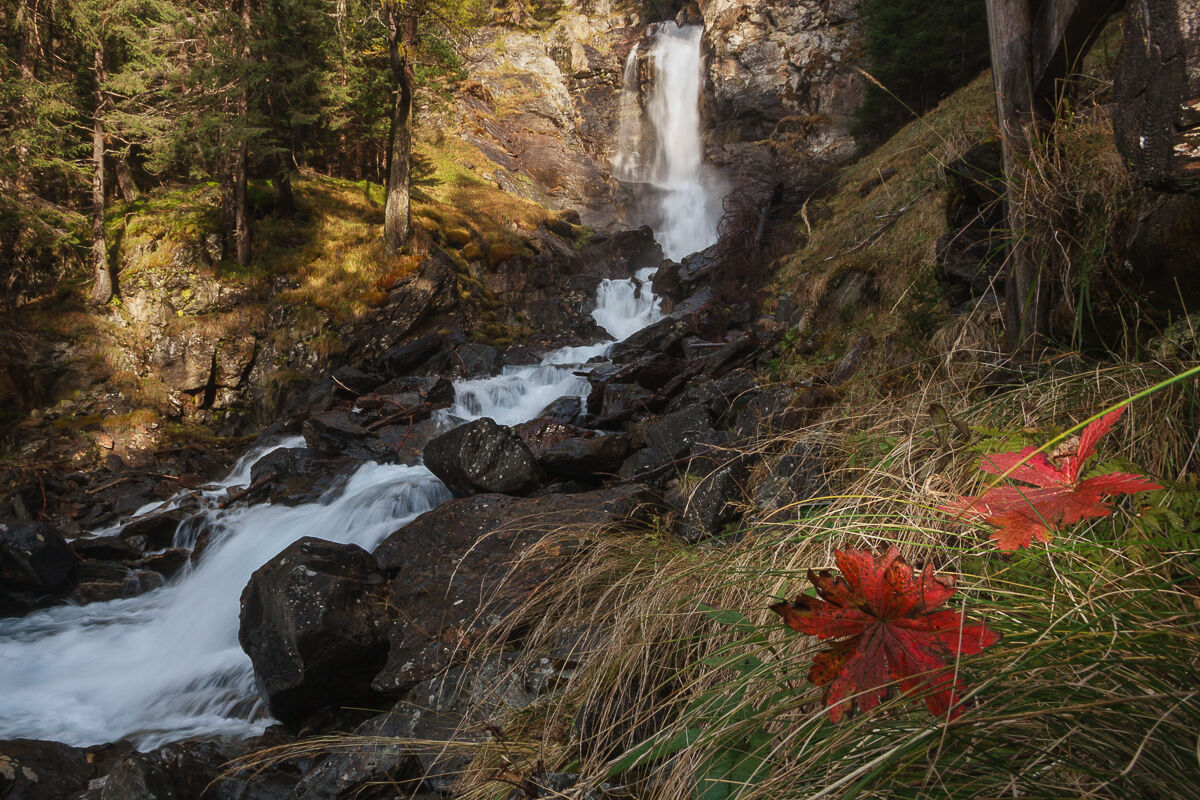 The first jump of the Saènt ...